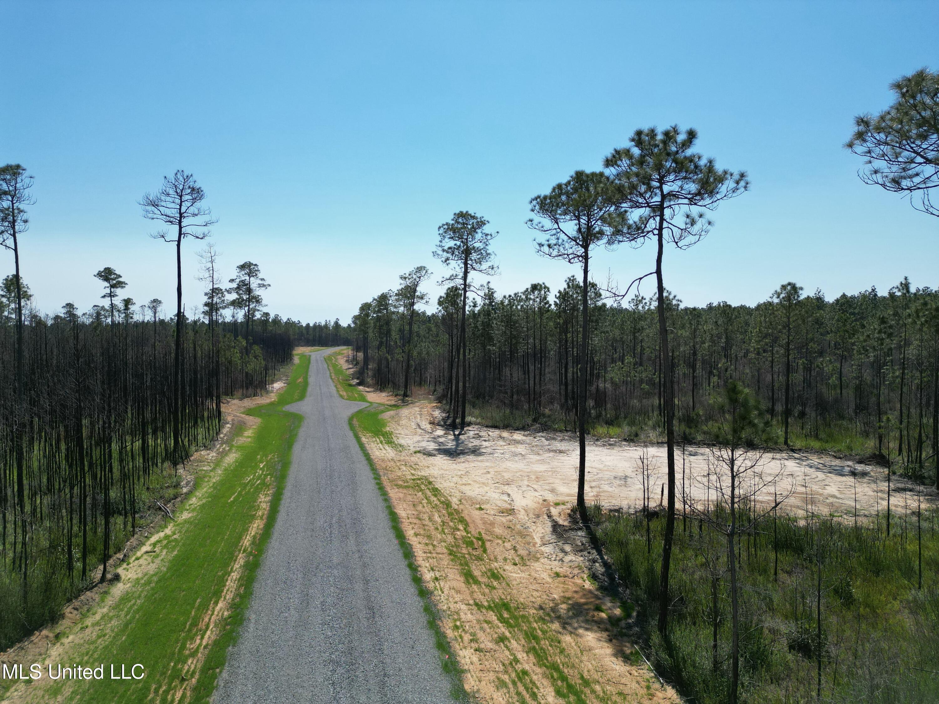 Lot C Whitfield Dr., Kiln, Mississippi image 2