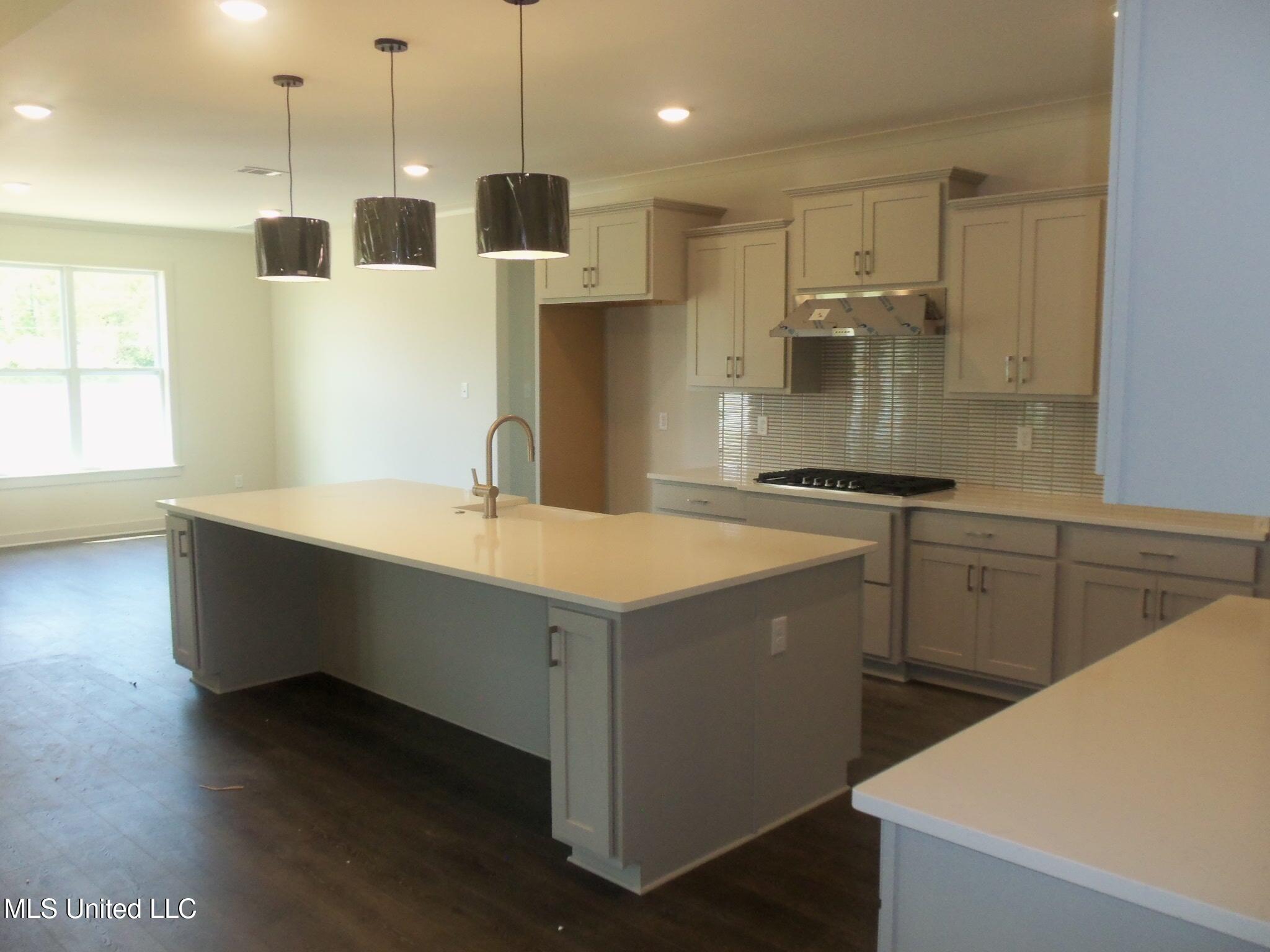 3356 Blooming Grove Road, Olive Branch, Mississippi image 13