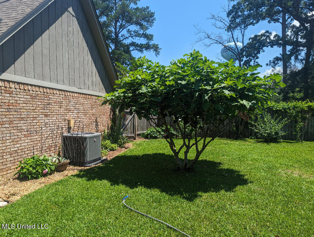 508 Pelahatchie Shore Drive, Brandon, Mississippi image 21