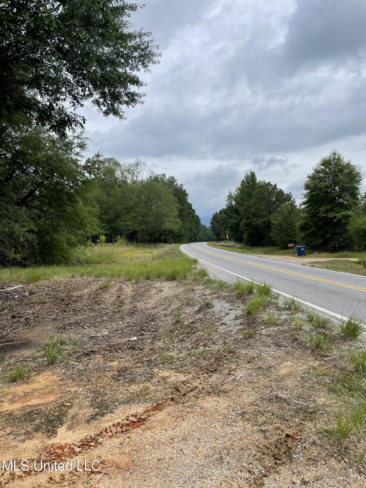 Hwy 13 Ms-13, Morton, Mississippi image 3