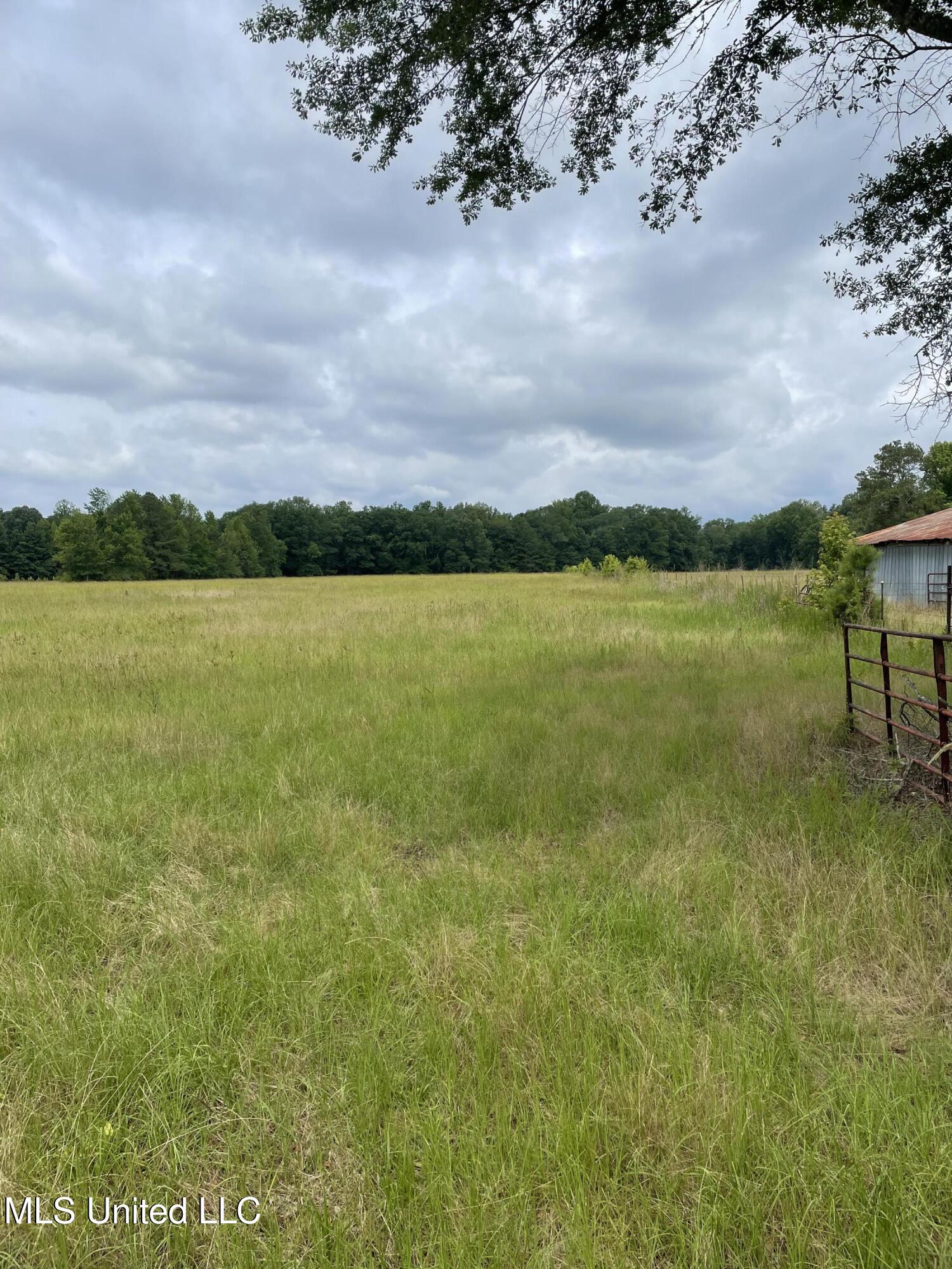 Hwy 13 Ms-13, Morton, Mississippi image 4