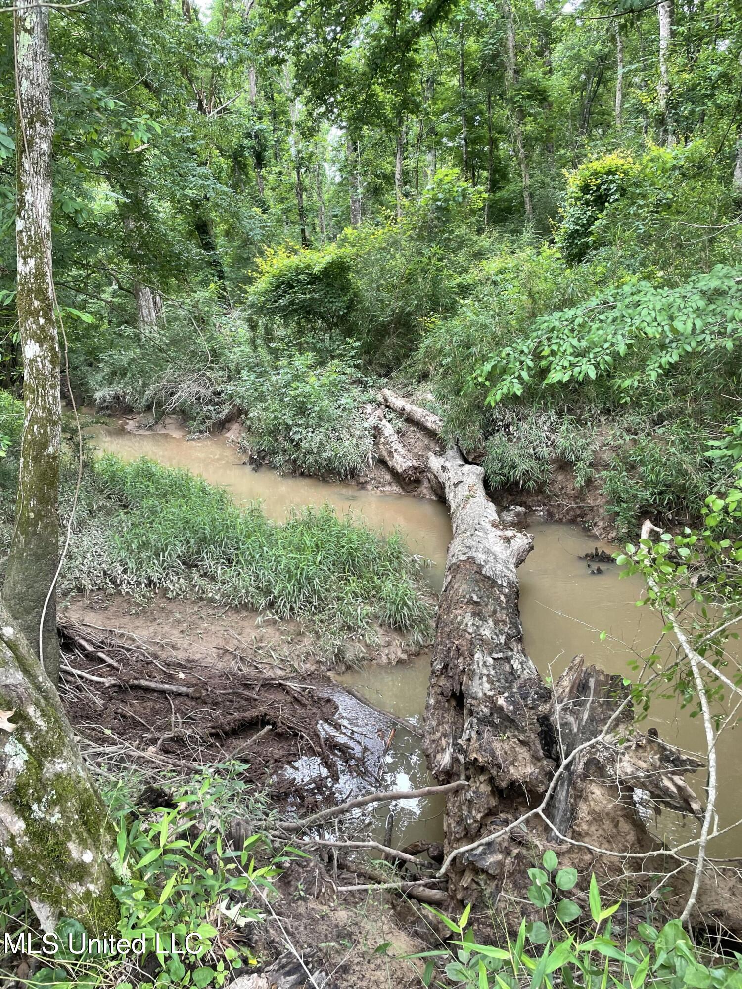 Hwy 13 Ms-13, Morton, Mississippi image 7