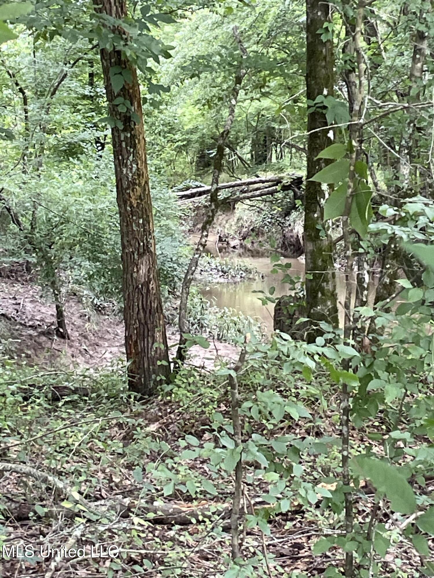 Hwy 13 Ms-13, Morton, Mississippi image 10
