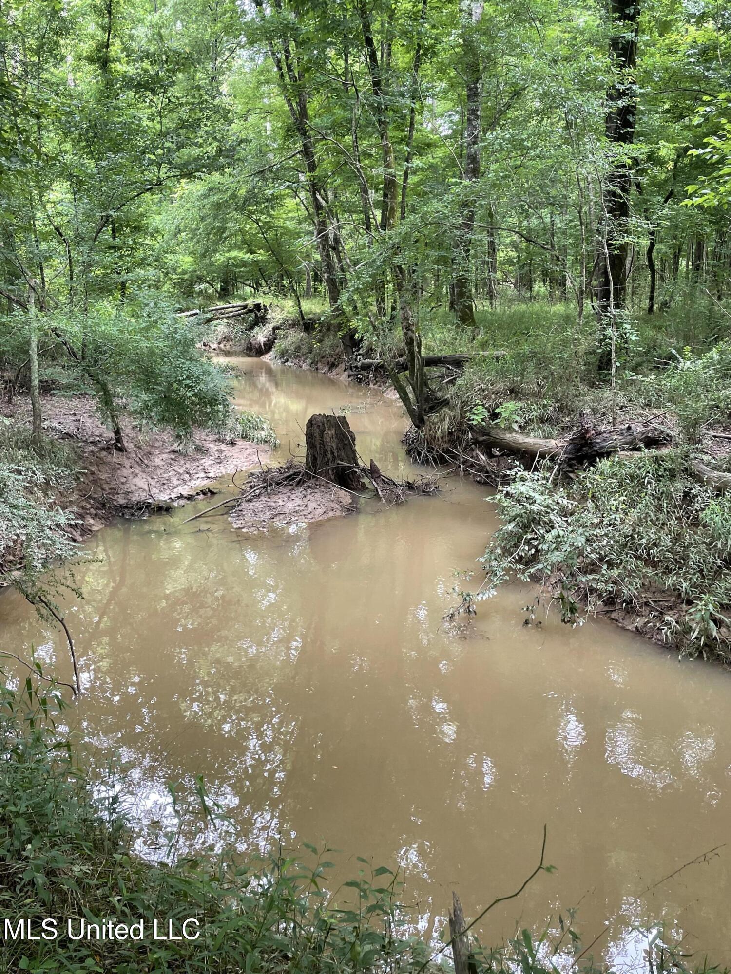 Hwy 13 Ms-13, Morton, Mississippi image 11