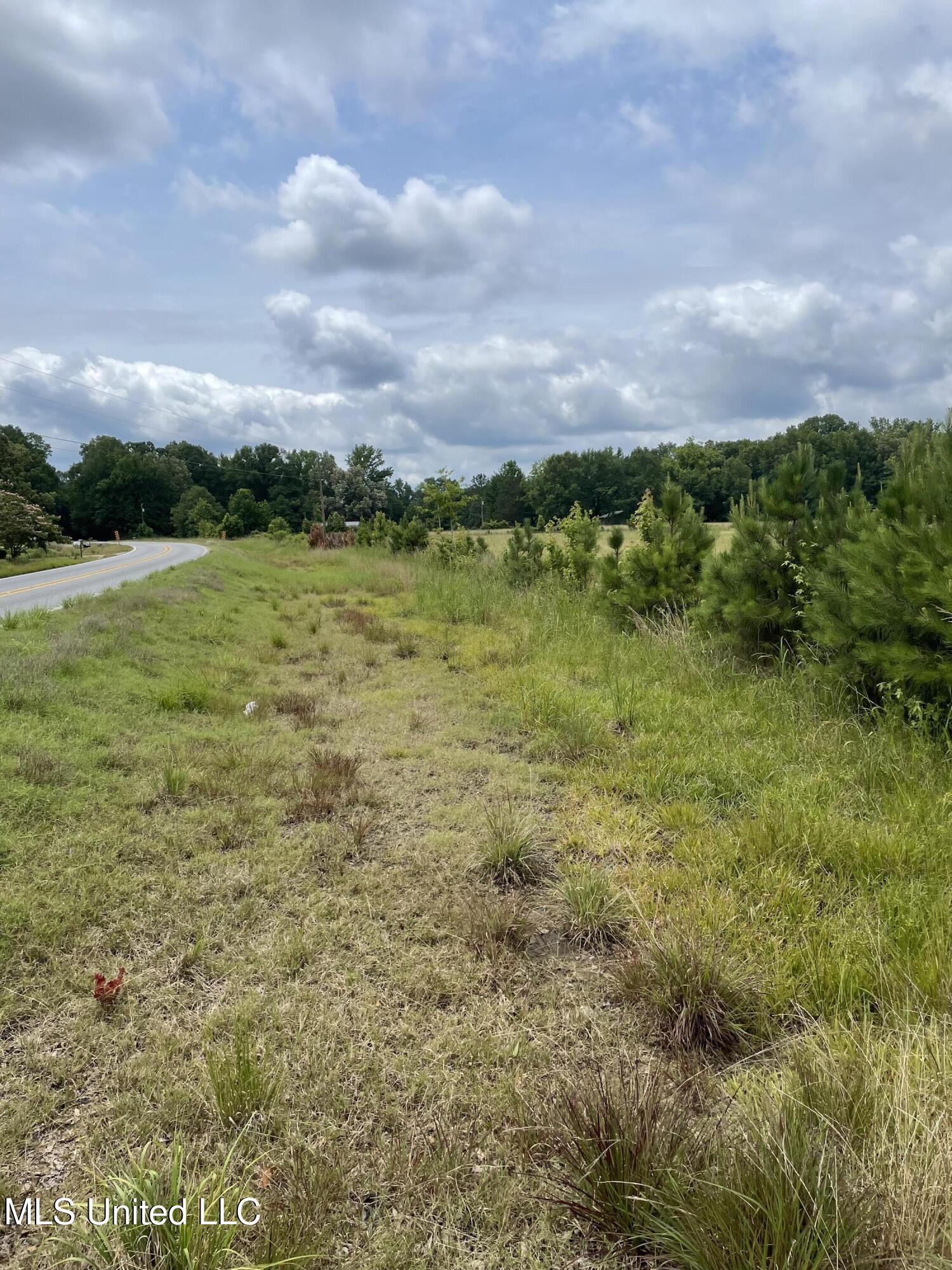 Hwy 13 Ms-13, Morton, Mississippi image 2