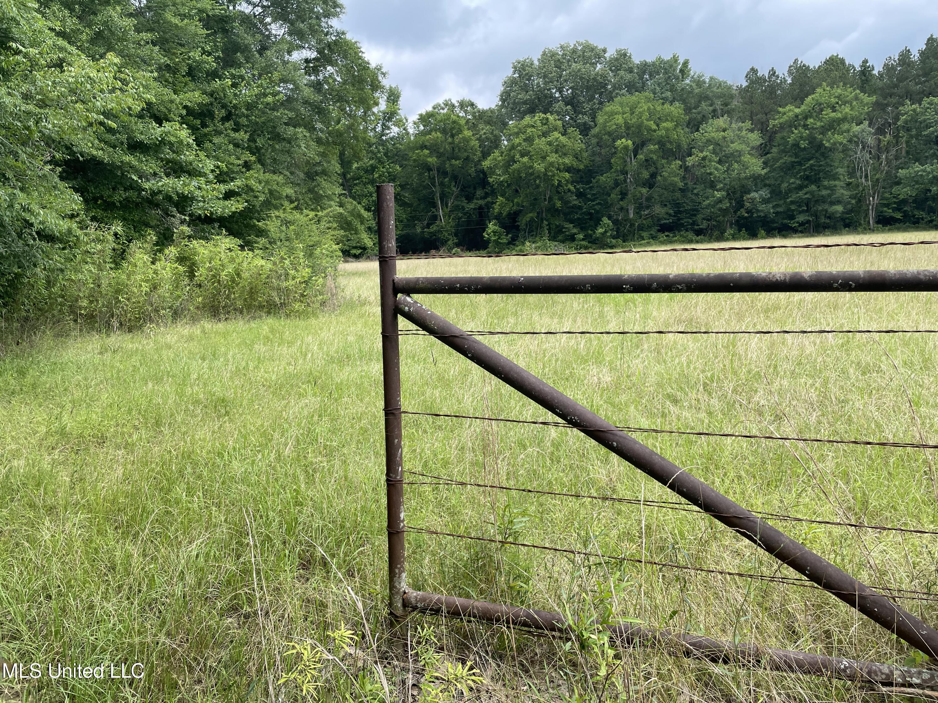 Hwy 13 Ms-13, Morton, Mississippi image 19