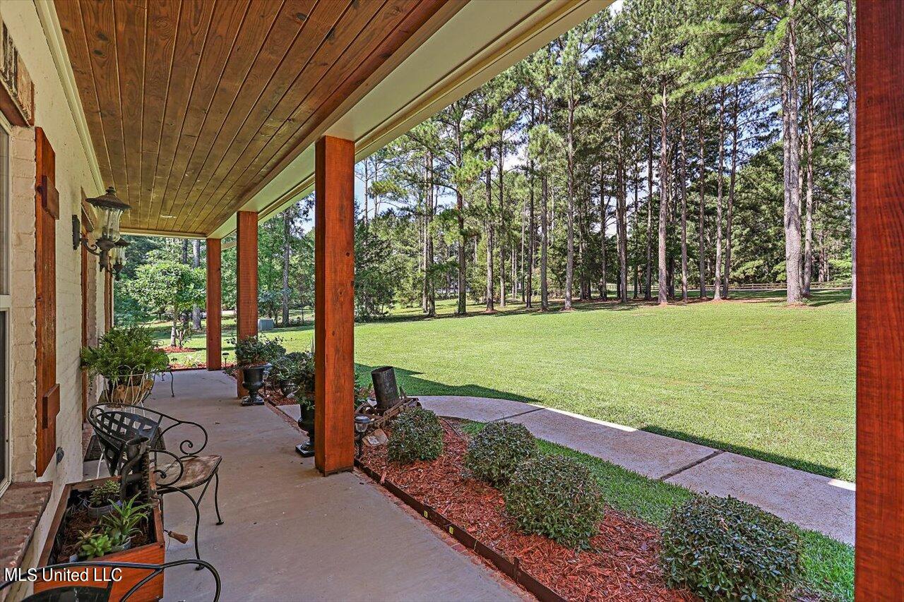 130 Pine Lake Cove, Flora, Mississippi image 3