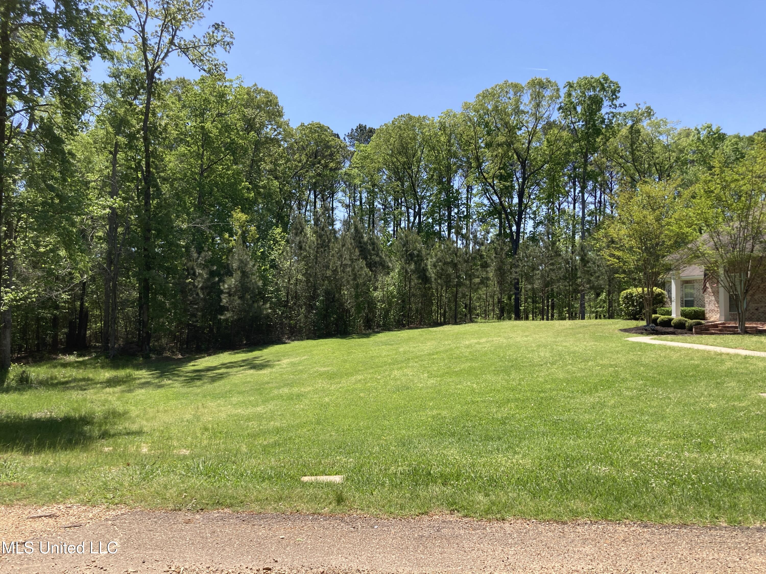 219 Bellewood Drive, Brandon, Mississippi image 19