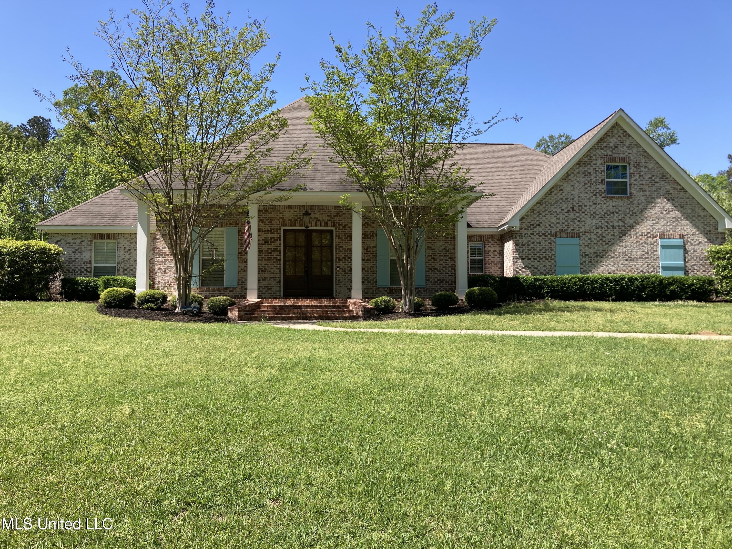 219 Bellewood Drive, Brandon, Mississippi image 1