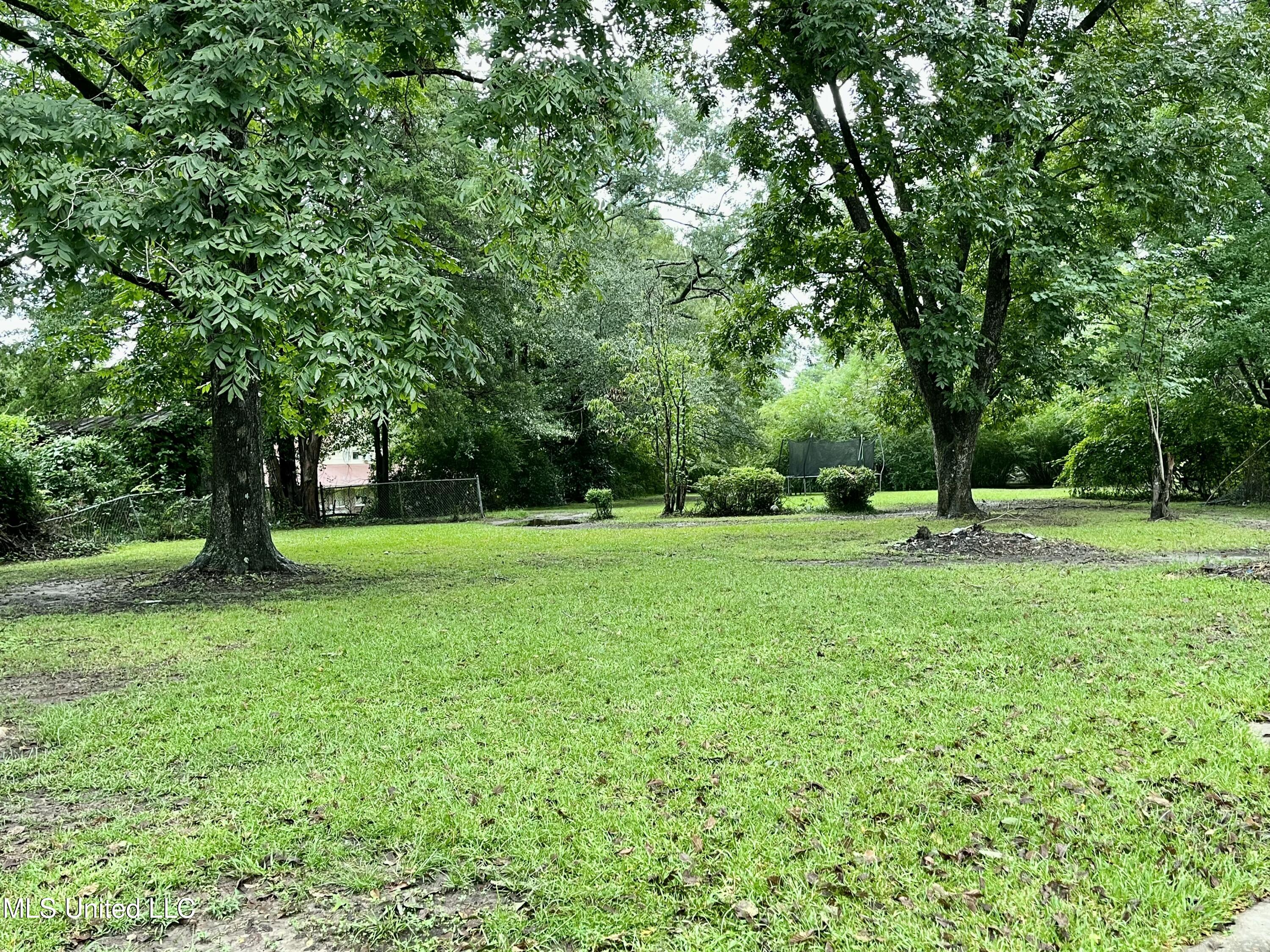 409 S Decatur Street, Union, Mississippi image 2
