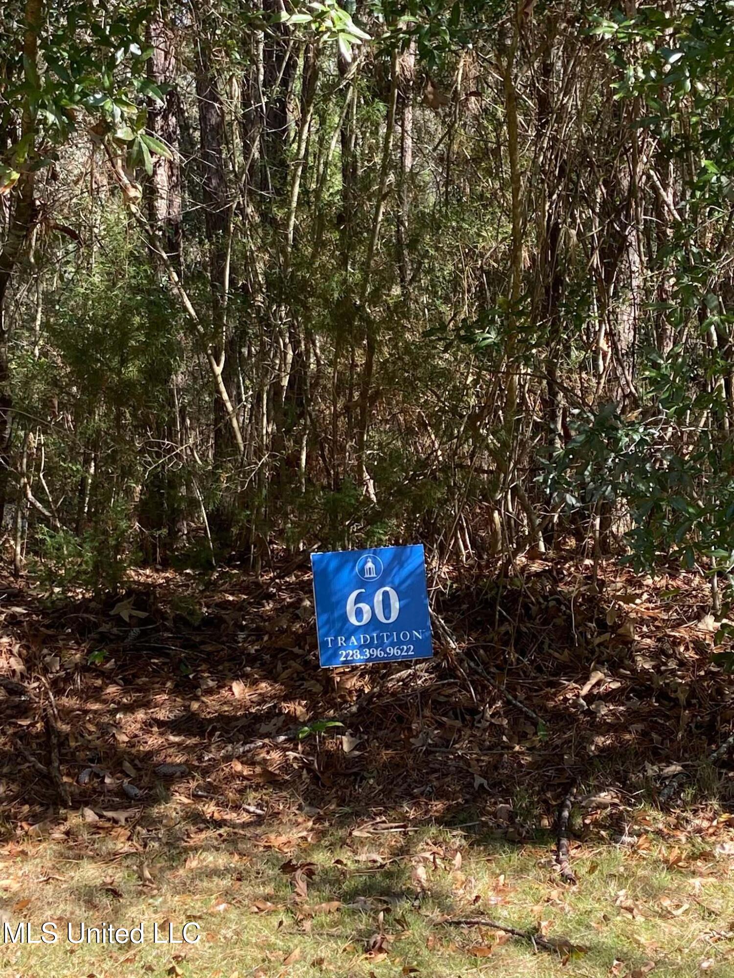 Lot 60 Middleton Place, Biloxi, Mississippi image 1