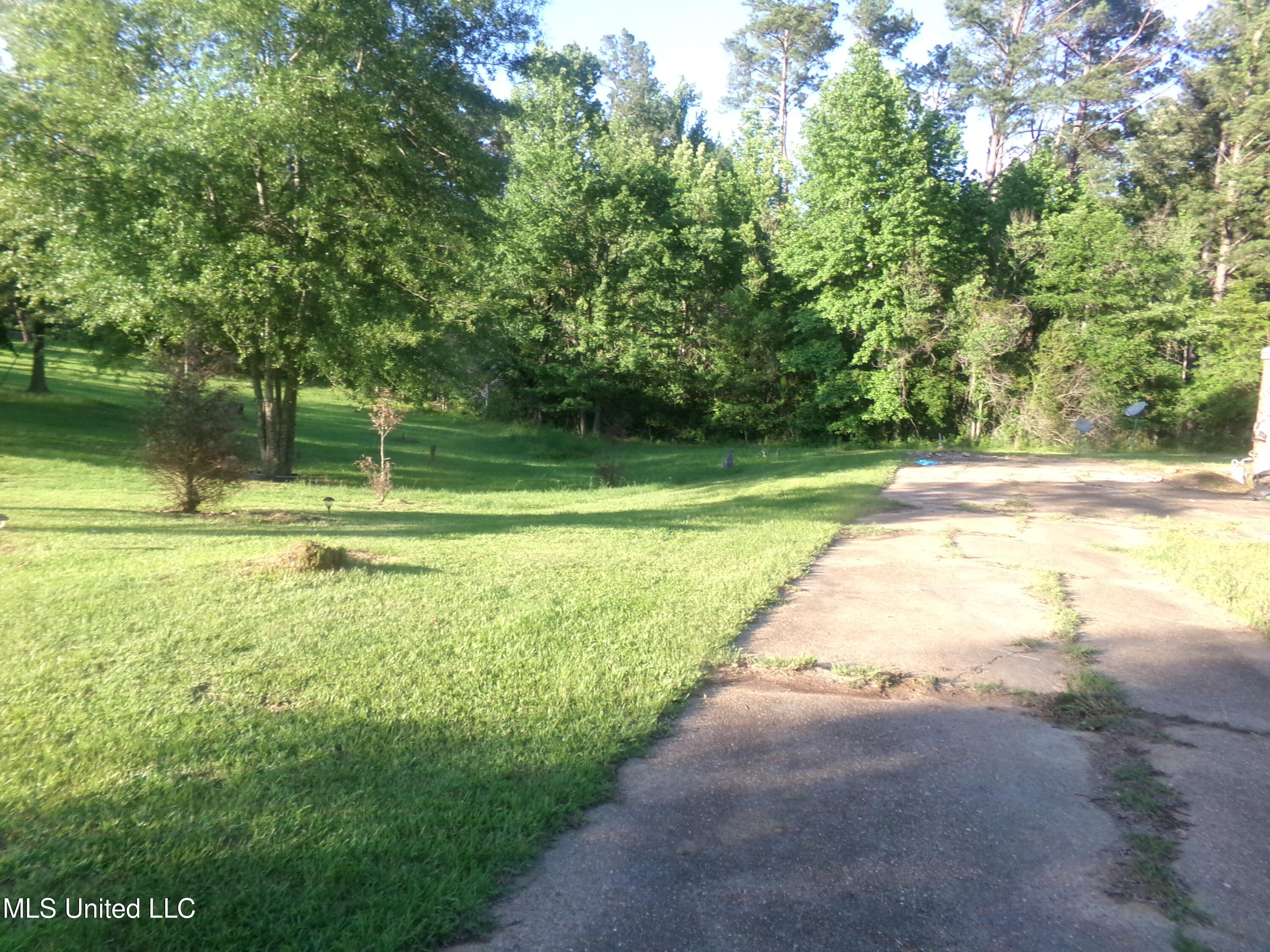 4976 Forest Hill Road, Byram, Mississippi image 6