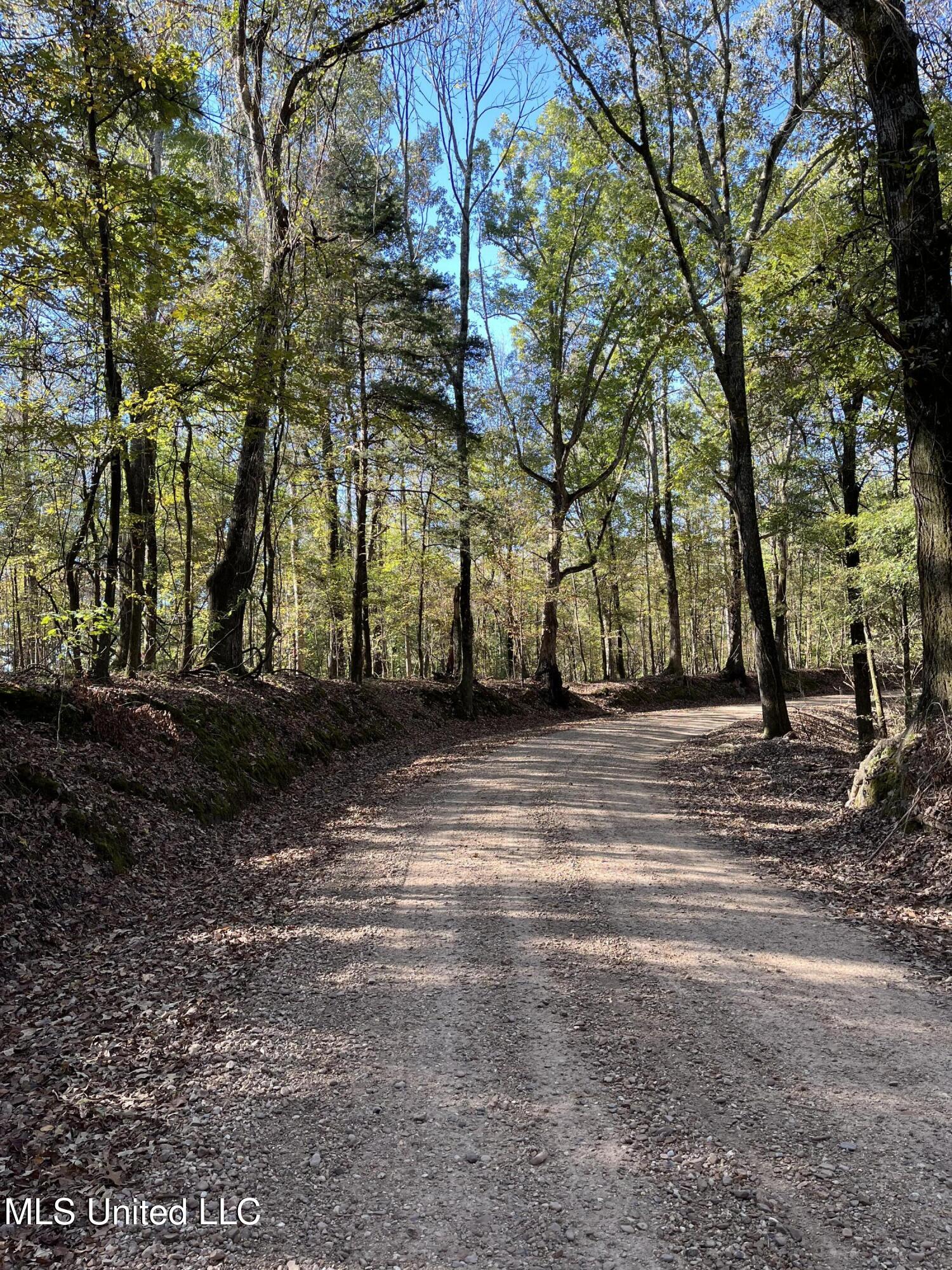 Perry Creek Road, Satartia, Mississippi image 18