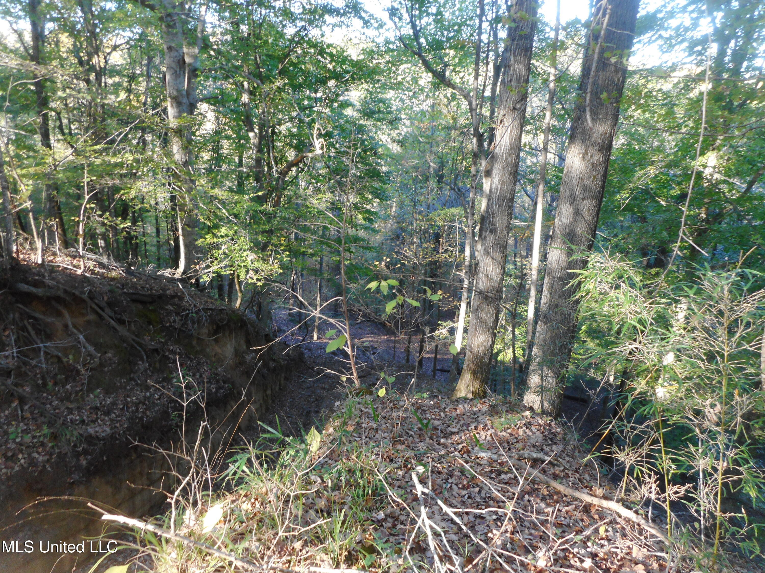 Perry Creek Road, Satartia, Mississippi image 17