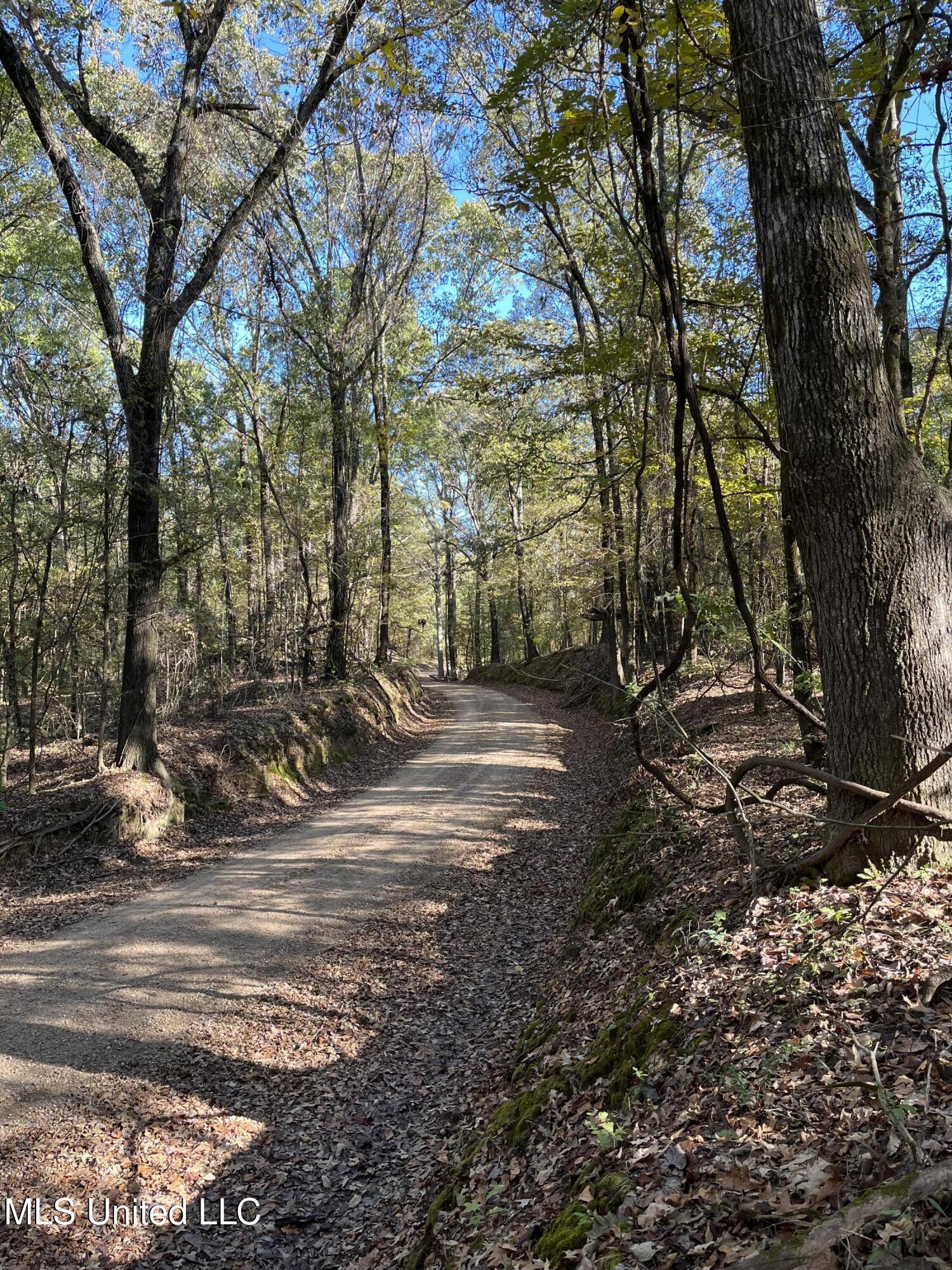 Perry Creek Road, Satartia, Mississippi image 16