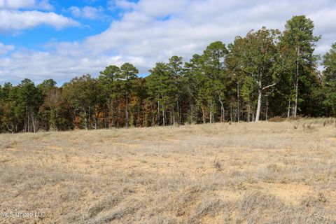 Vacant Land For Sale - TRACT 1 Hugh White State Park Road<br/> Grenada County, Grenada, MS 38901