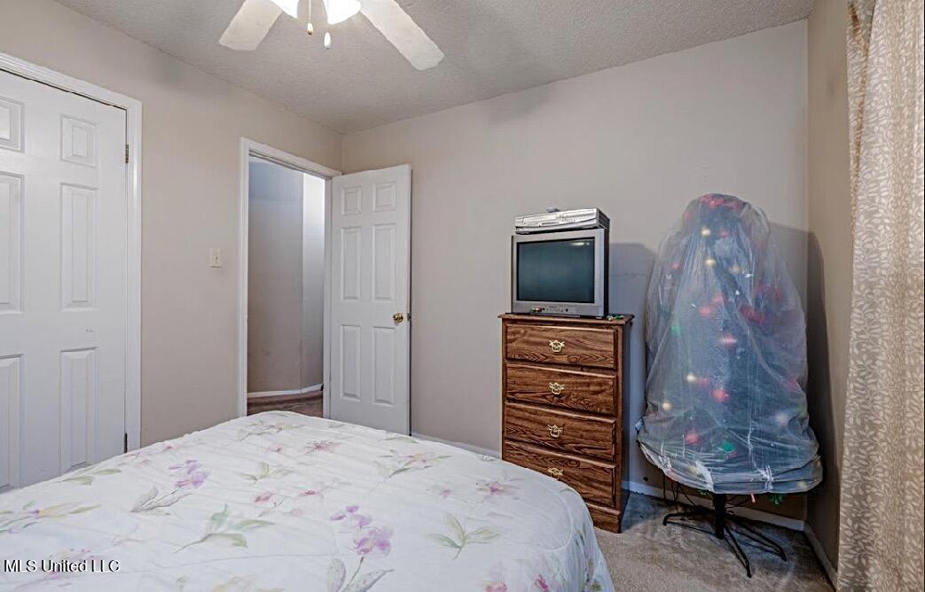 3431 Bayberry Drive, Horn Lake, Mississippi image 11