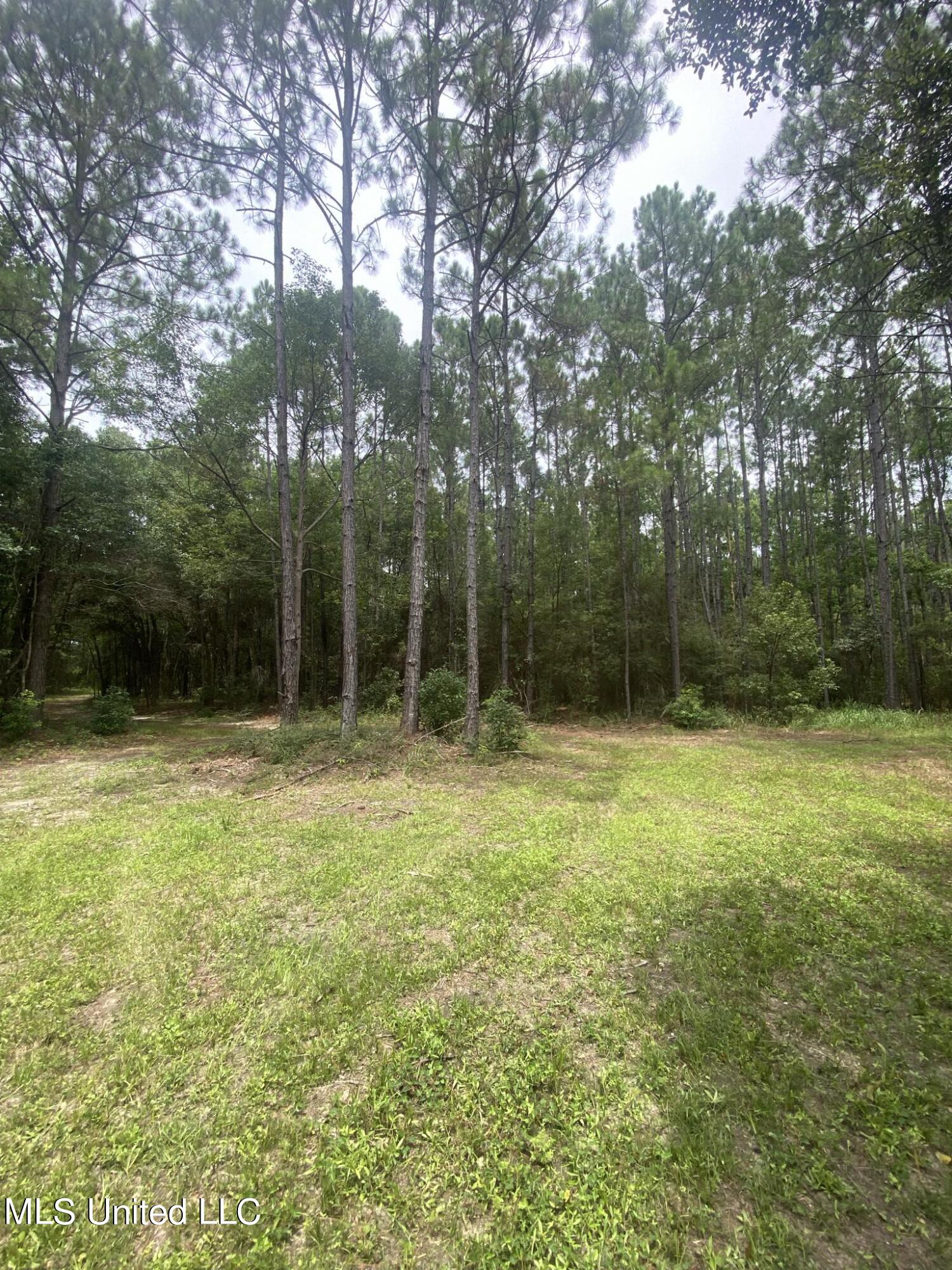 Elmer Jones Road, Moss Point, Mississippi image 8