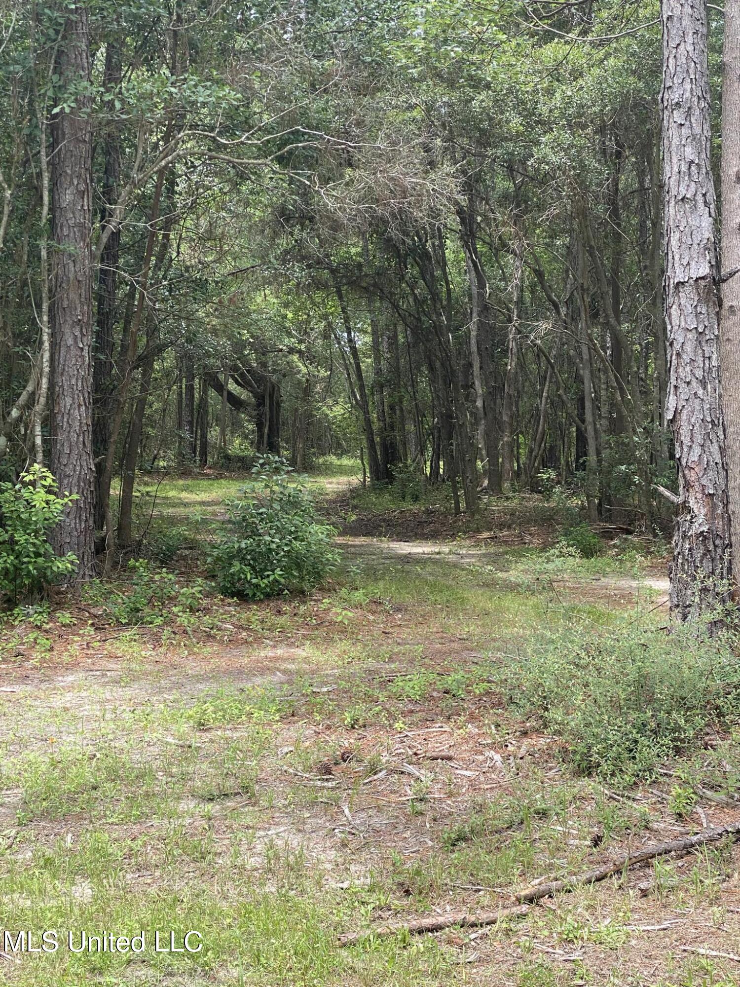 Elmer Jones Road, Moss Point, Mississippi image 1