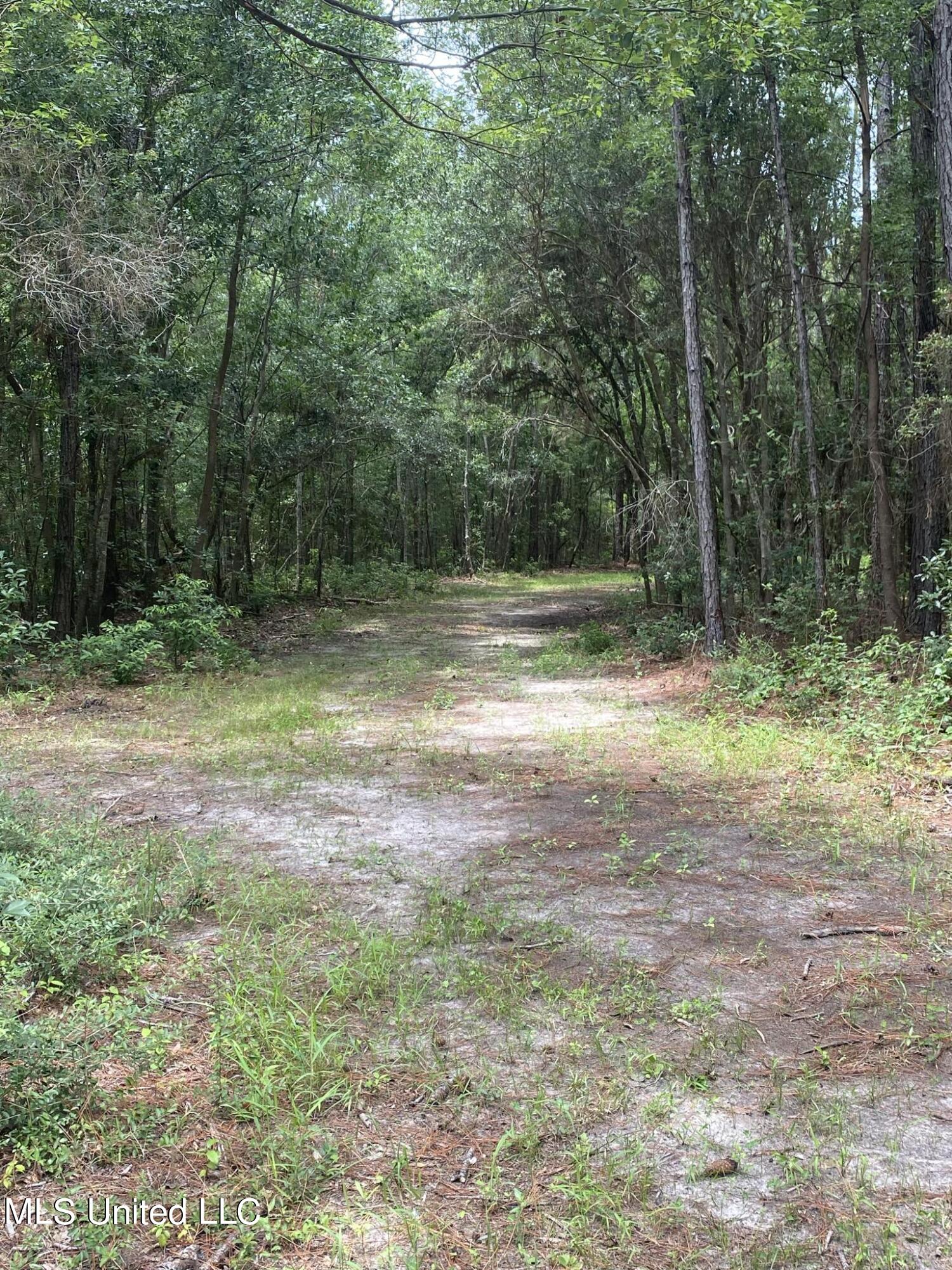 Elmer Jones Road, Moss Point, Mississippi image 7