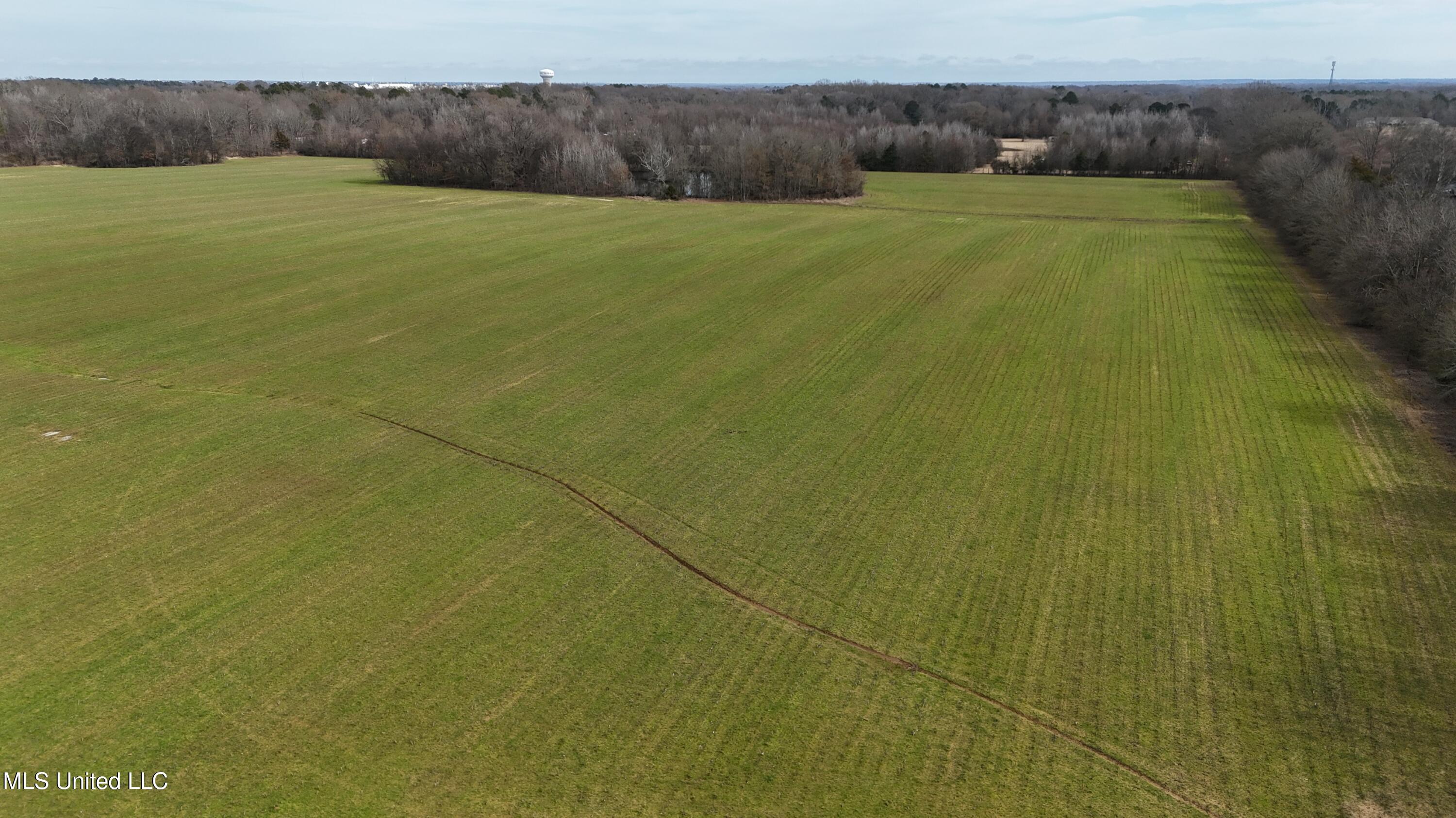 Stout Road Road, Madison, Mississippi image 6