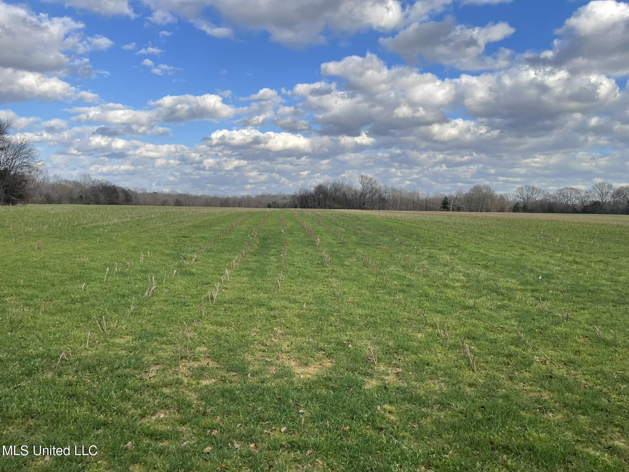 Stout Road Road, Madison, Mississippi image 11