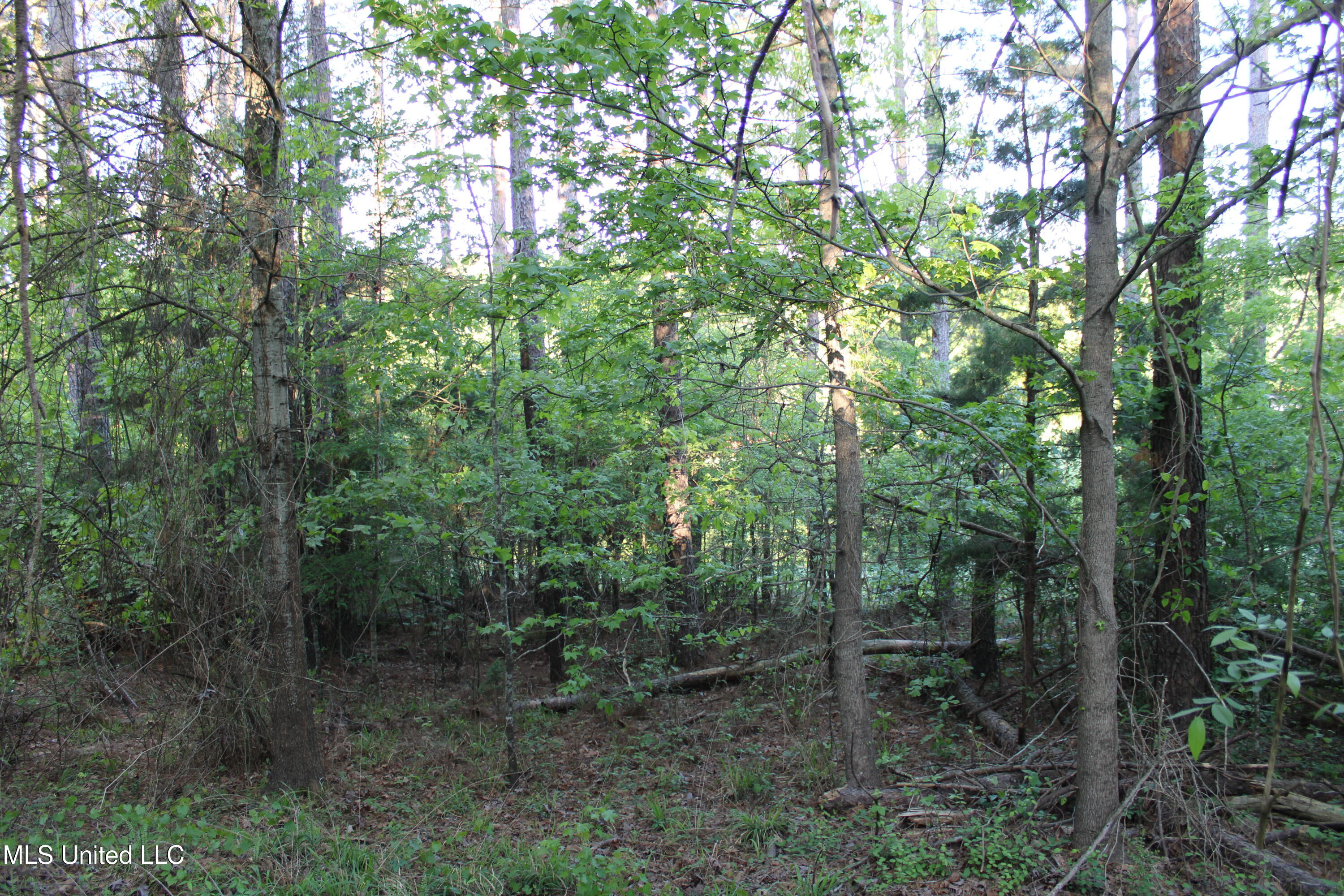 Kennebrew Road, Jackson, Mississippi image 14