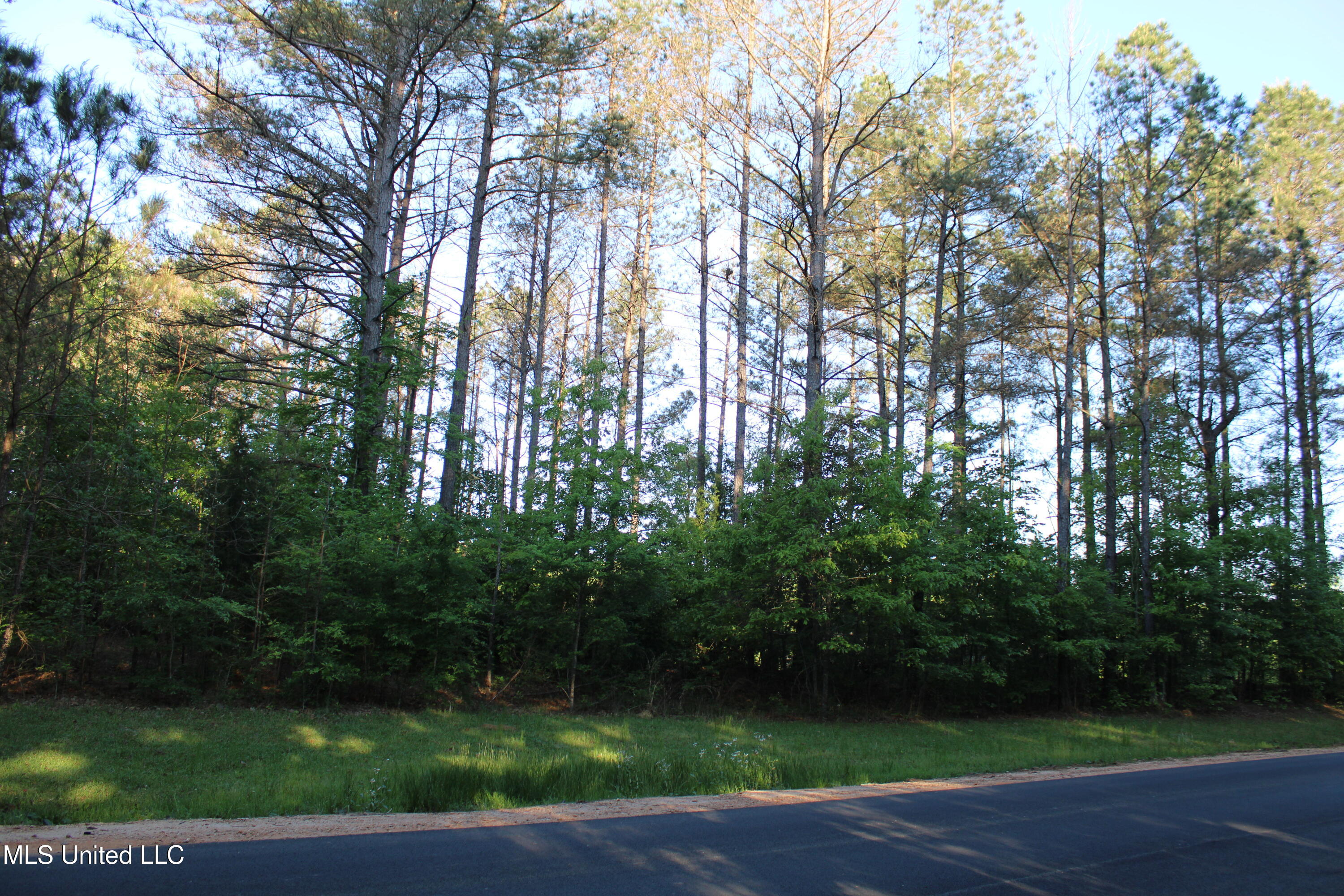 Kennebrew Road, Jackson, Mississippi image 9