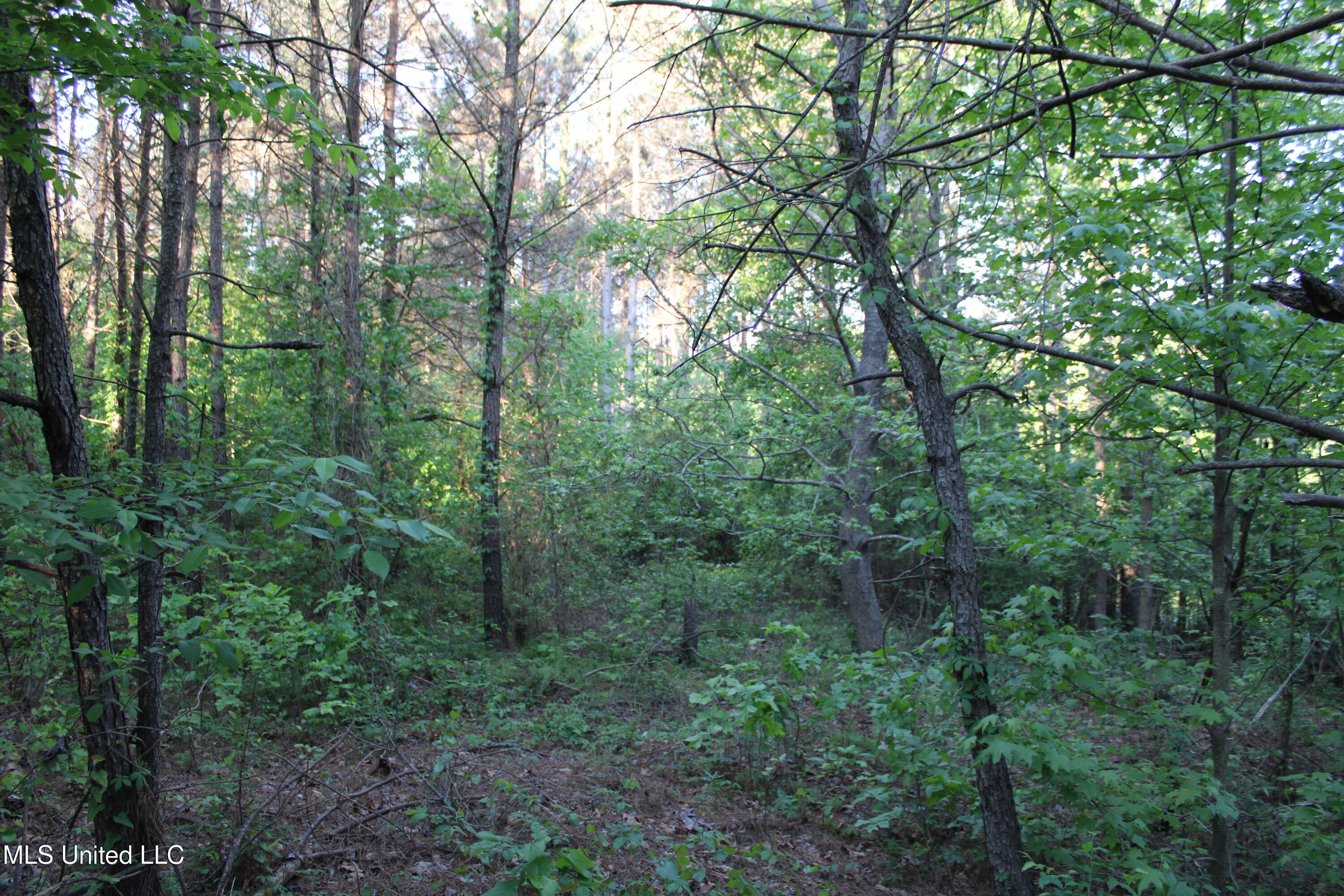 Kennebrew Road, Jackson, Mississippi image 13