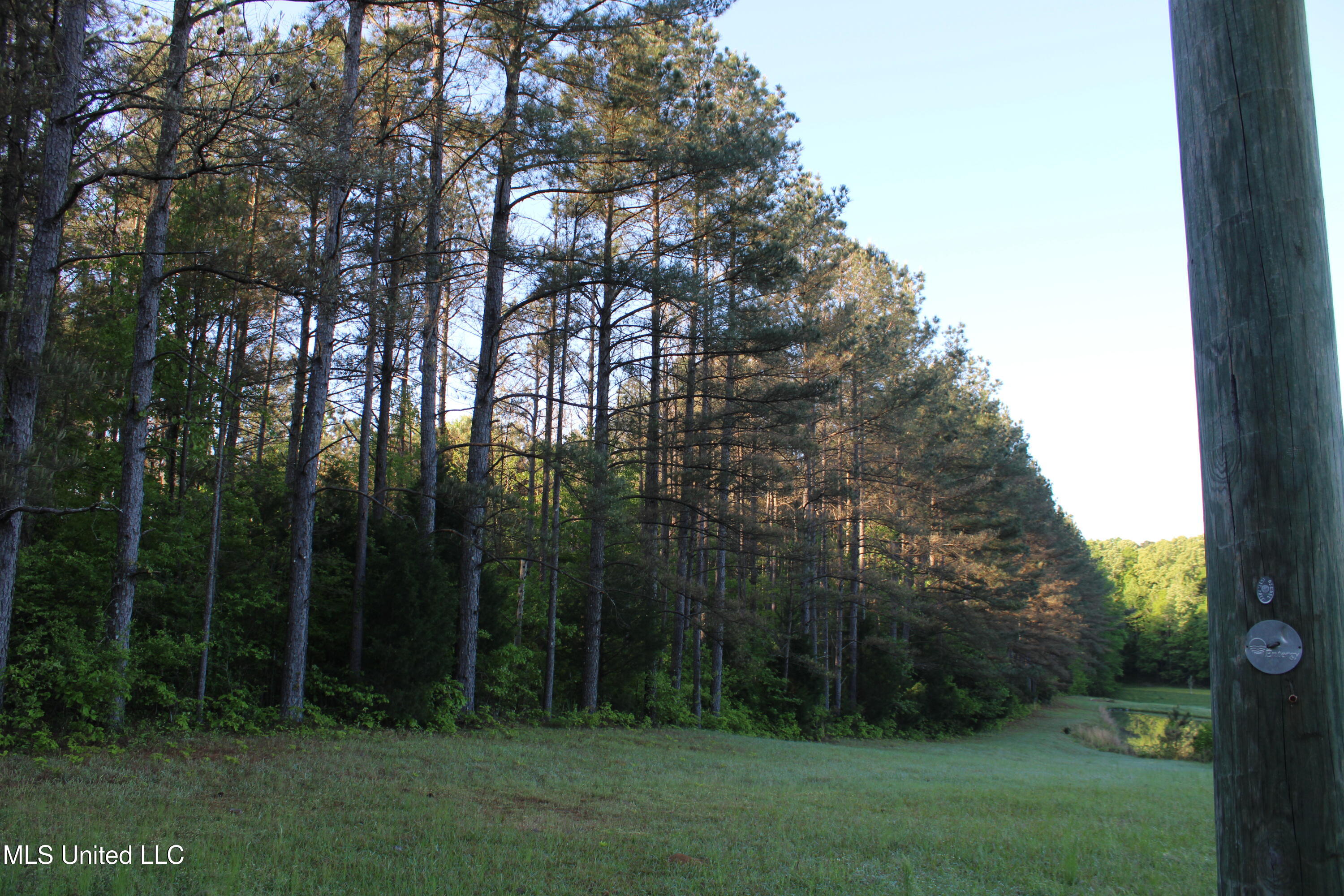 Kennebrew Road, Jackson, Mississippi image 12