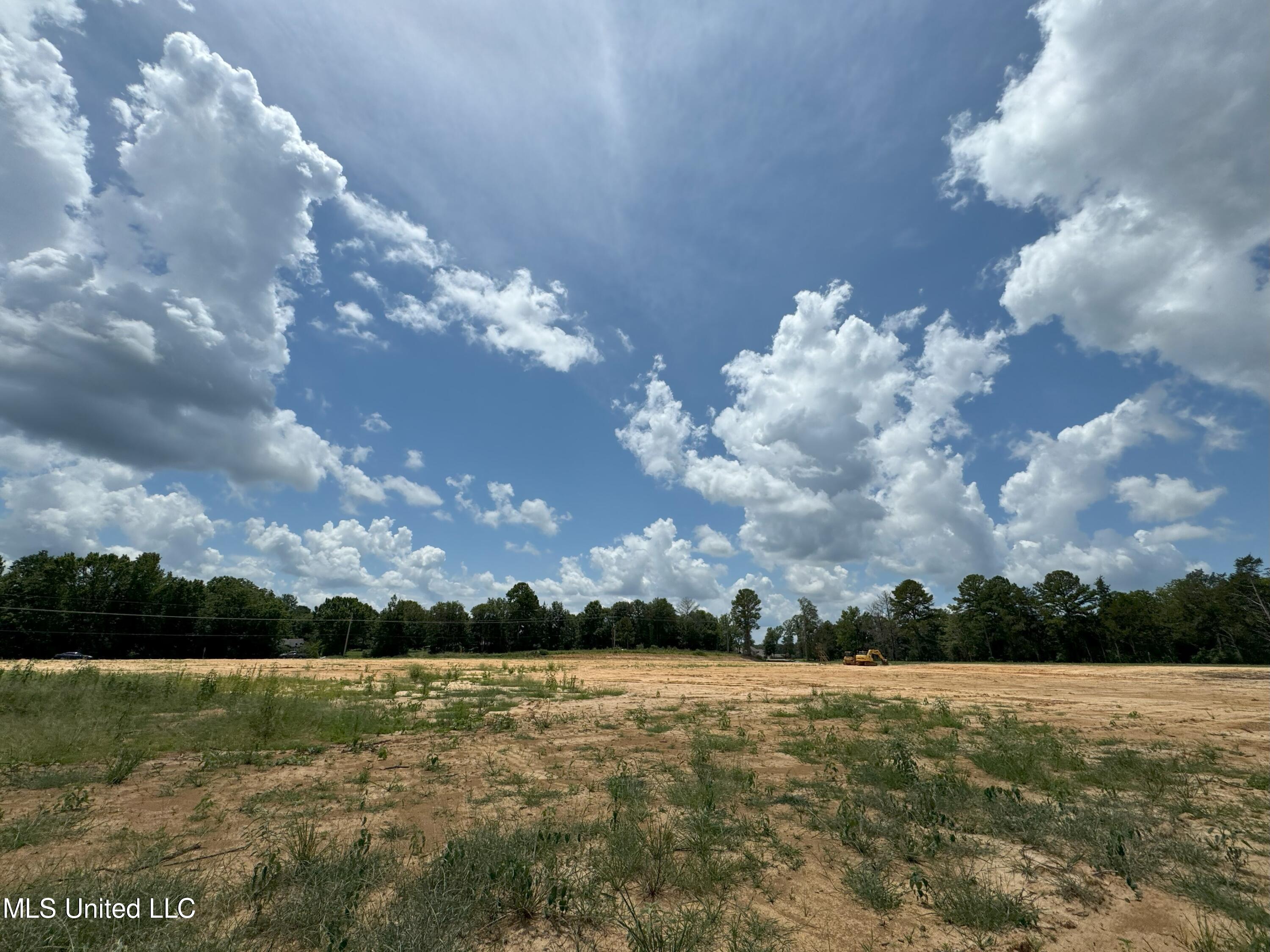 Sharon, Canton, Mississippi image 4