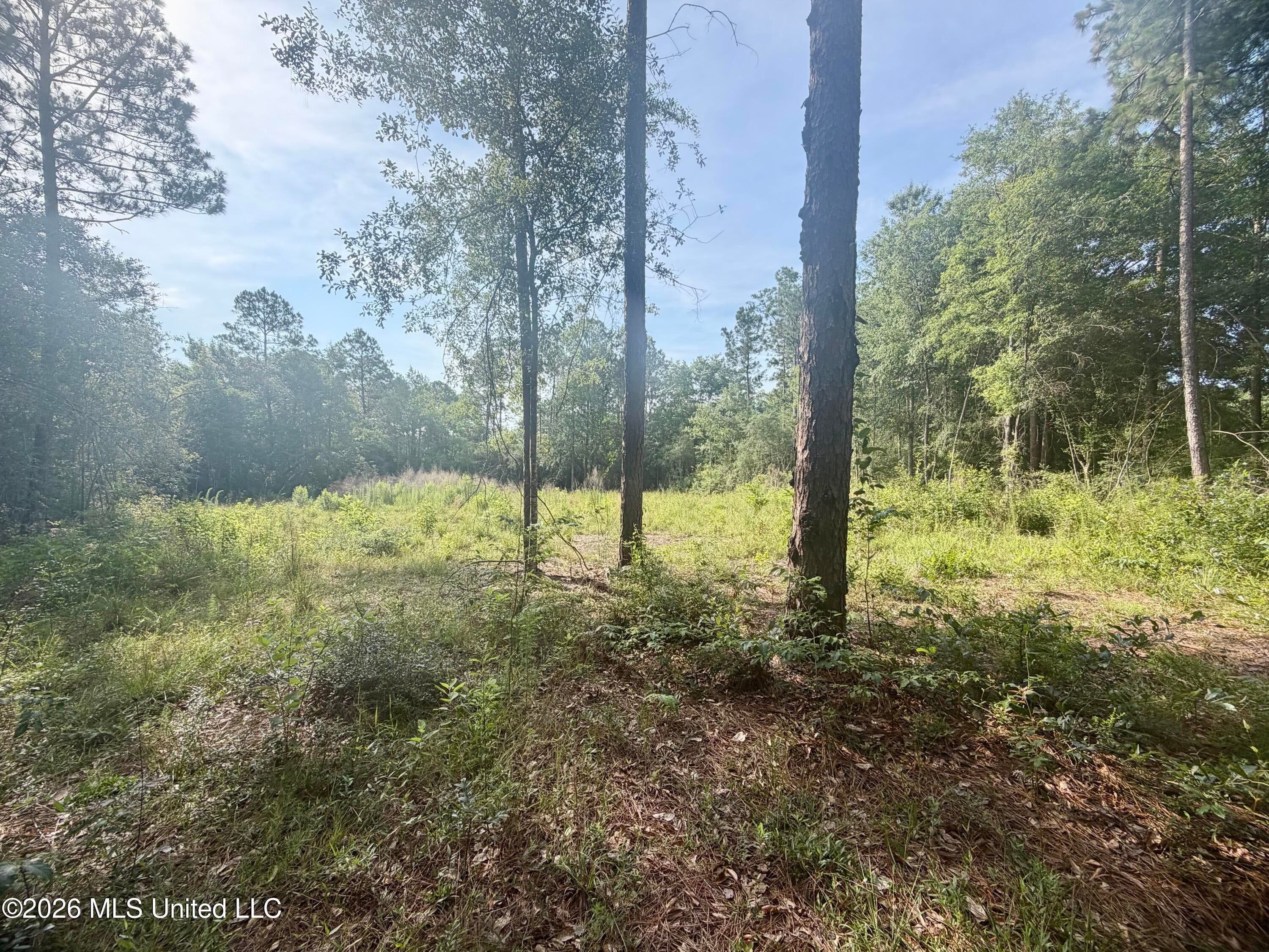 112 Pine Ridge Drive