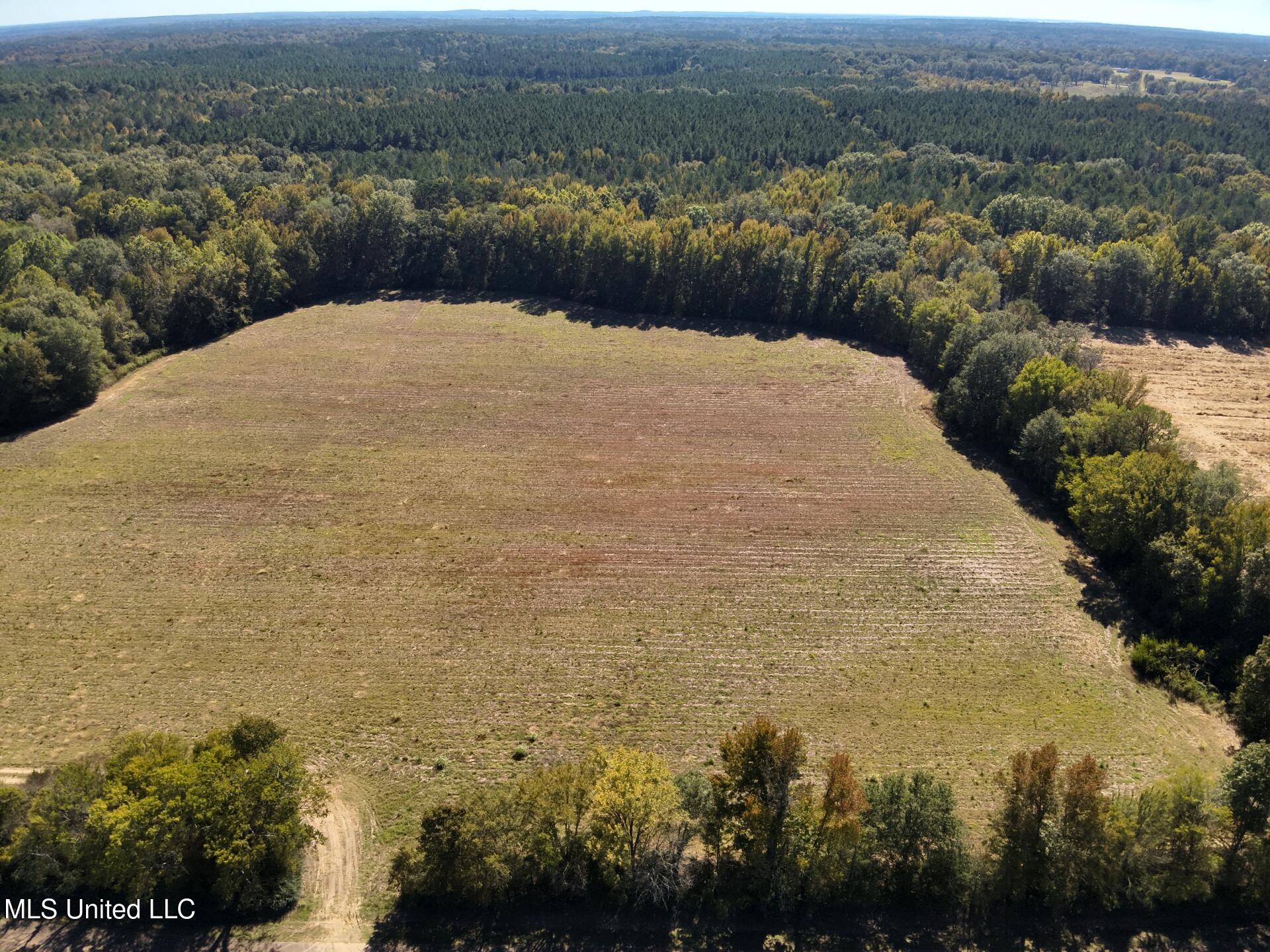 0001 Renfroe Rd, Canton, Mississippi image 7