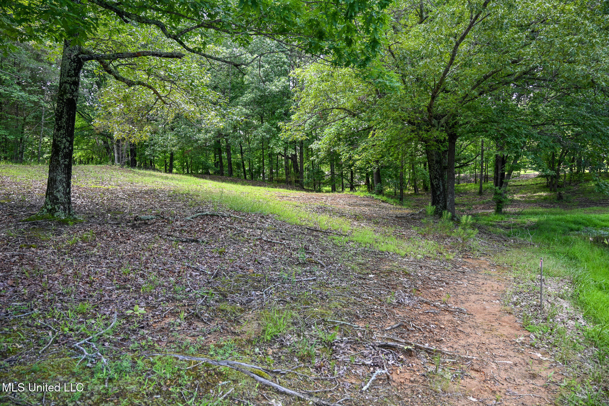 Lot 1 Woodlawn Road, Byhalia, Mississippi image 8