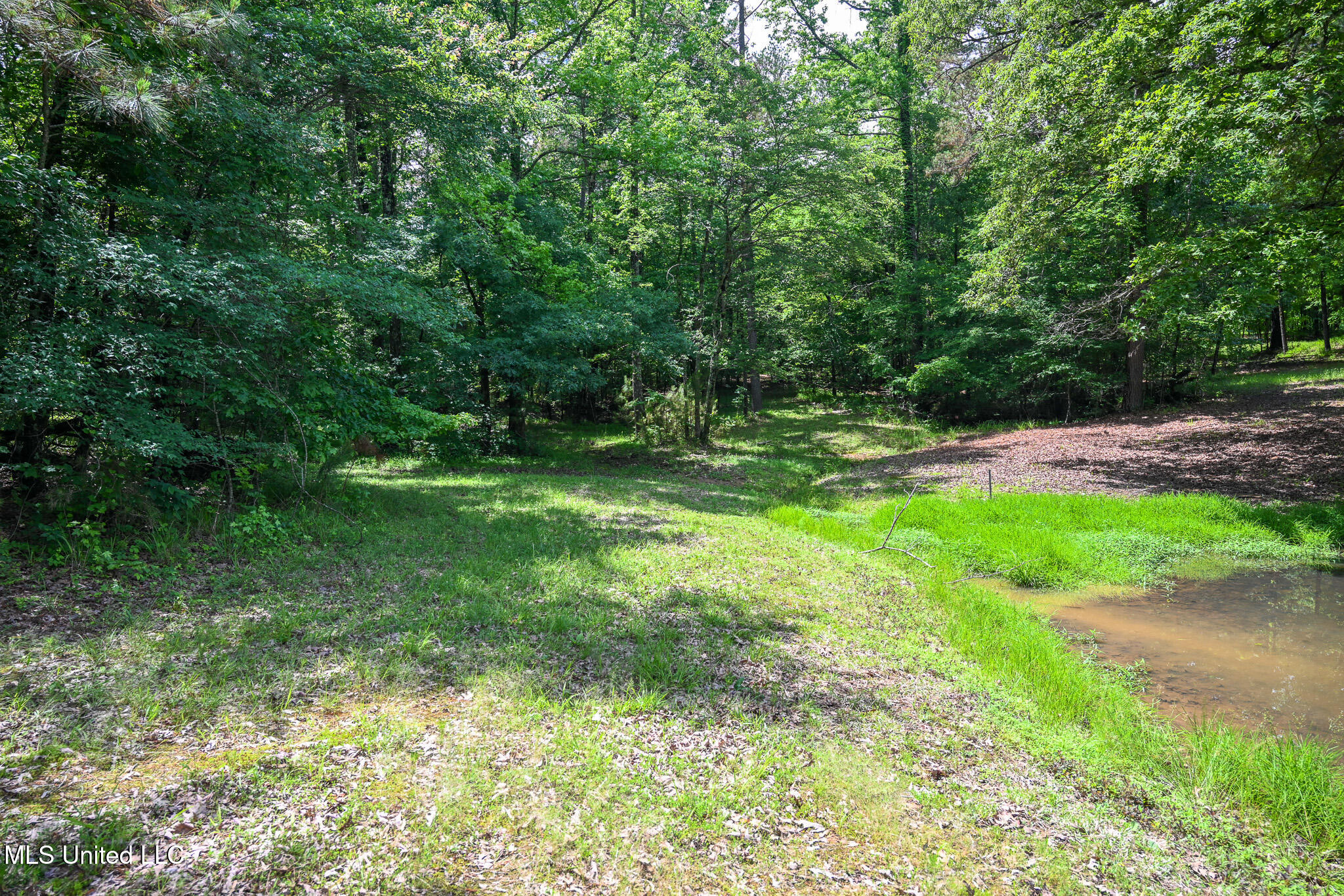 Lot 1 Woodlawn Road, Byhalia, Mississippi image 6