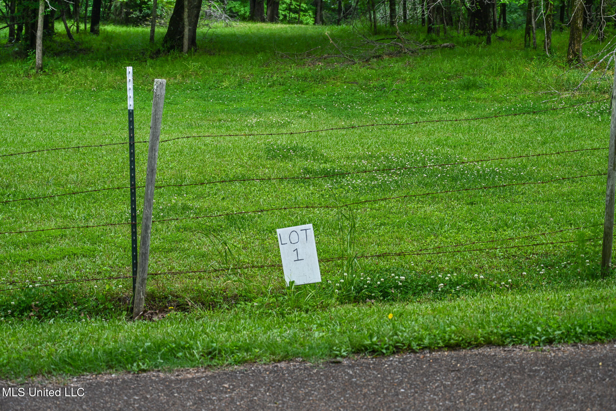 Lot 1 Woodlawn Road, Byhalia, Mississippi image 2