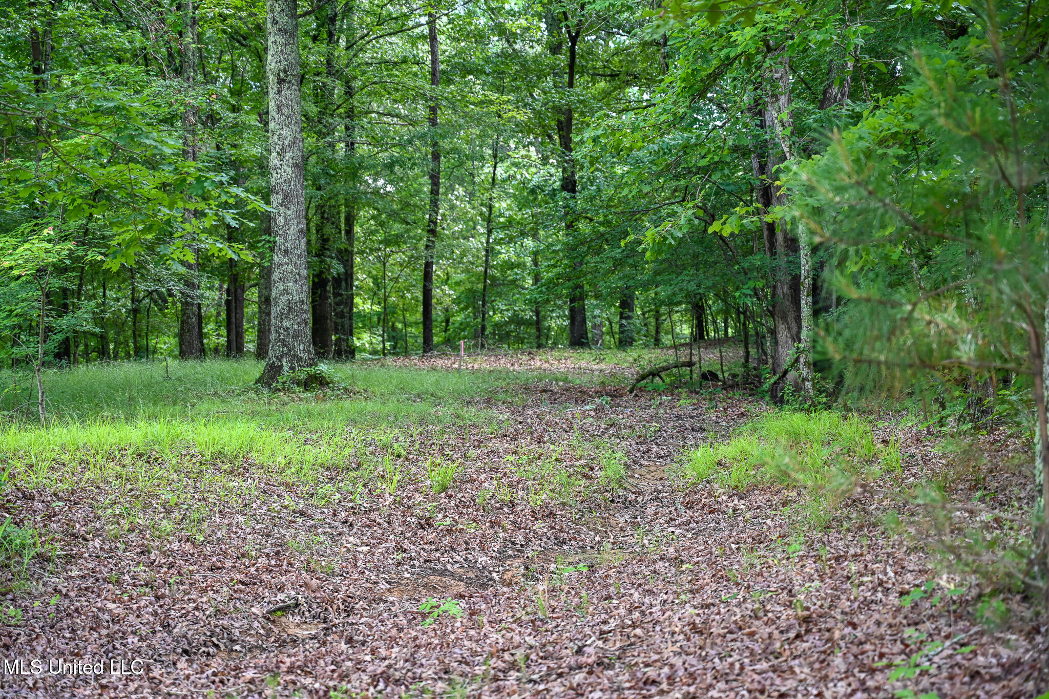 Lot 1 Woodlawn Road, Byhalia, Mississippi image 7