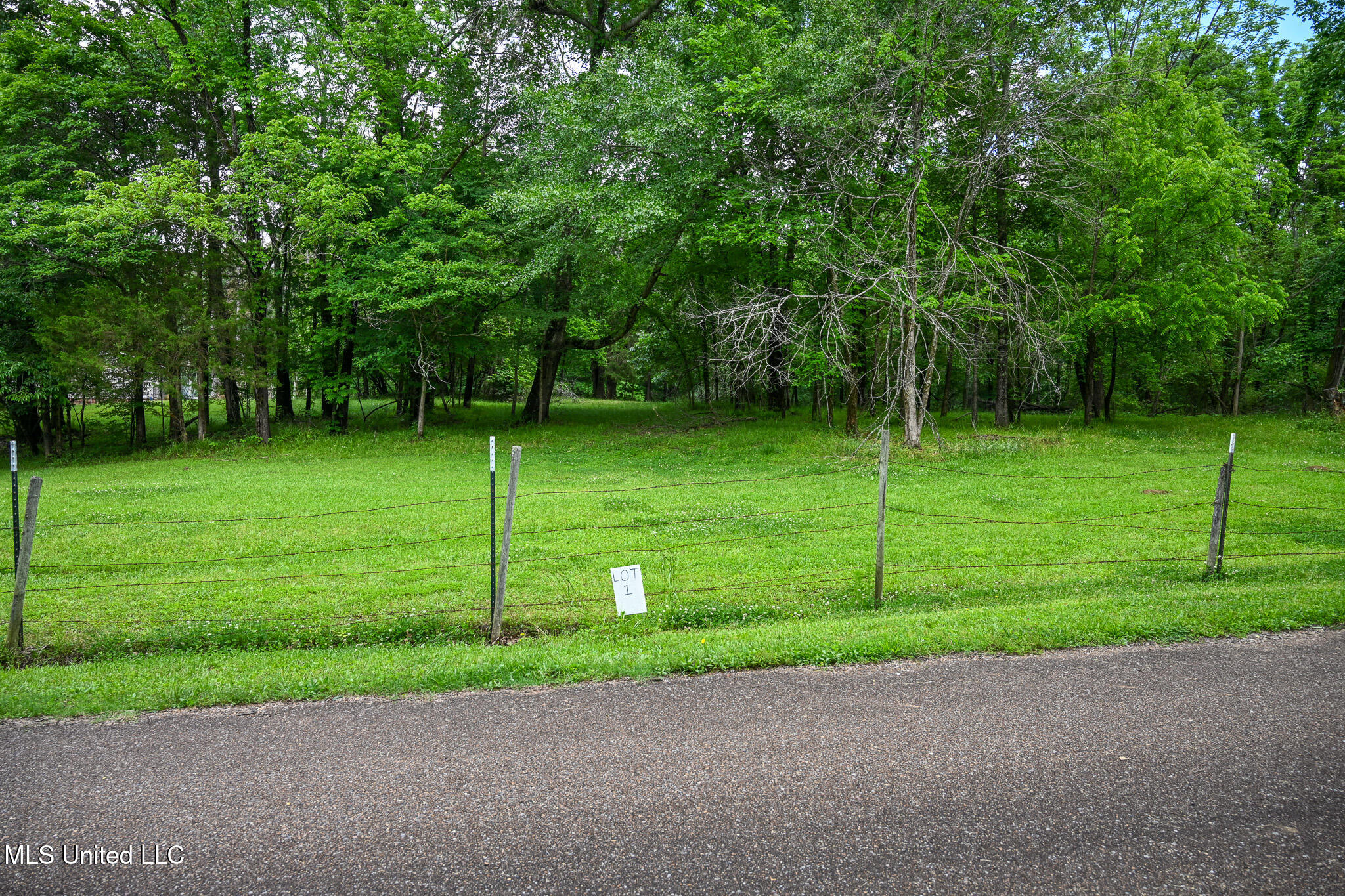 Lot 1 Woodlawn Road, Byhalia, Mississippi image 3