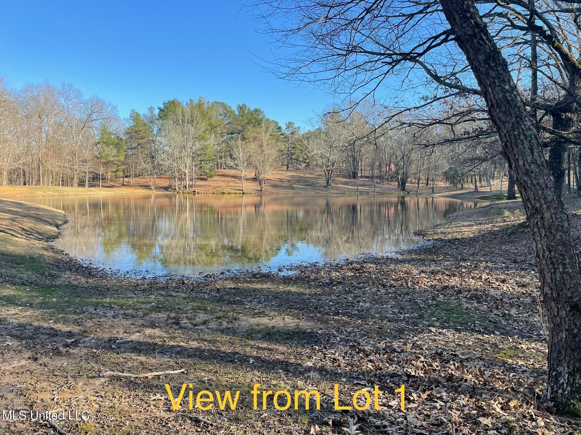 Lot 1 Woodlawn Road, Byhalia, Mississippi image 4