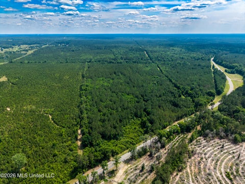 Vacant Land For Sale - HWY 43 N Hwy 43<br/> Pearl River County, Poplarville, MS 39470
