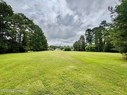 FOX LOOP DR, MCCOMB, MS 39648 - Image 076f9c2612d4e1bcc25f5d67f00f0579/577230670