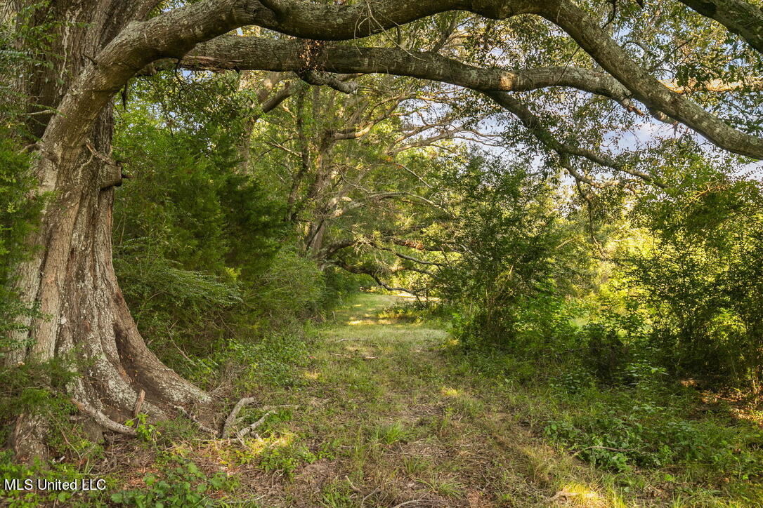 0001 Livingston Vernon Road, Flora, Mississippi image 6