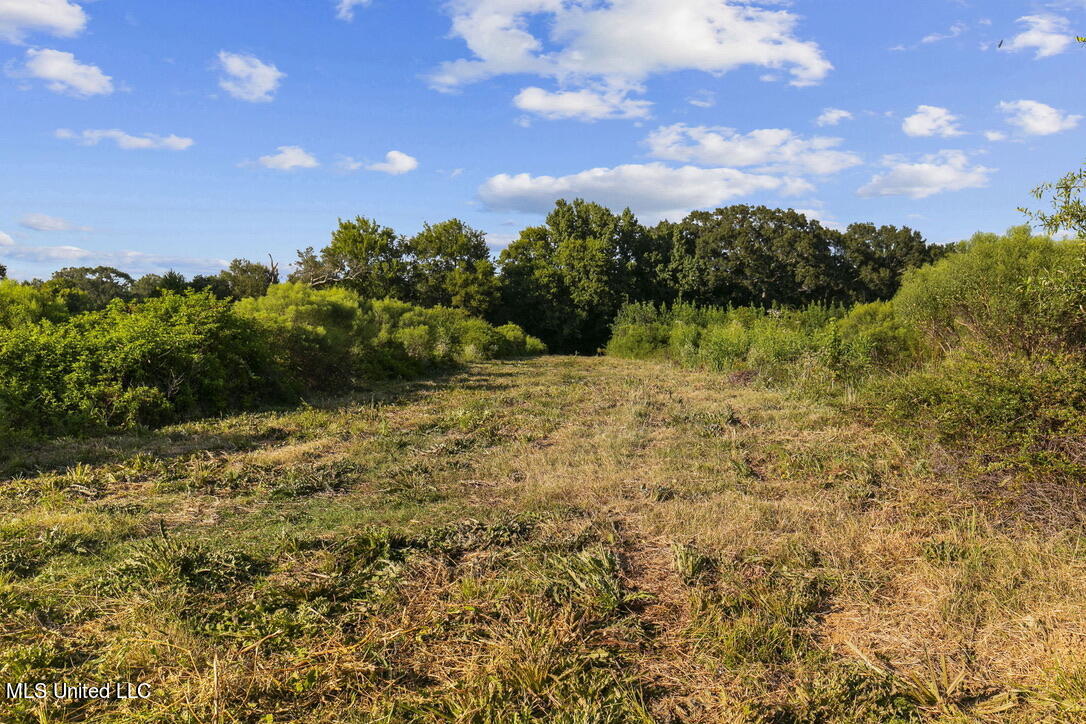 0001 Livingston Vernon Road, Flora, Mississippi image 17