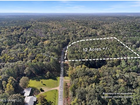 Vacant Land For Sale - Union Church Road<br/> Meadville, MS 39653