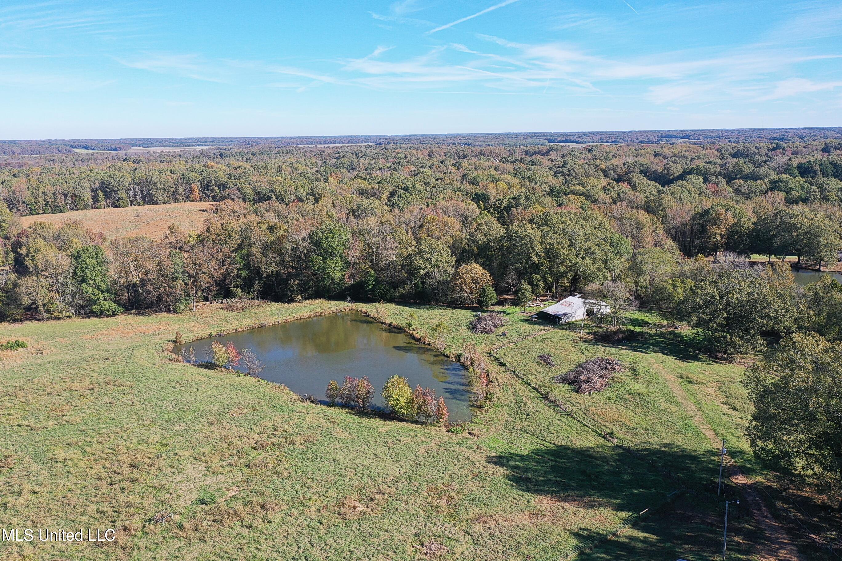 5284 W Oak Grove Road, Hernando, Mississippi image 39