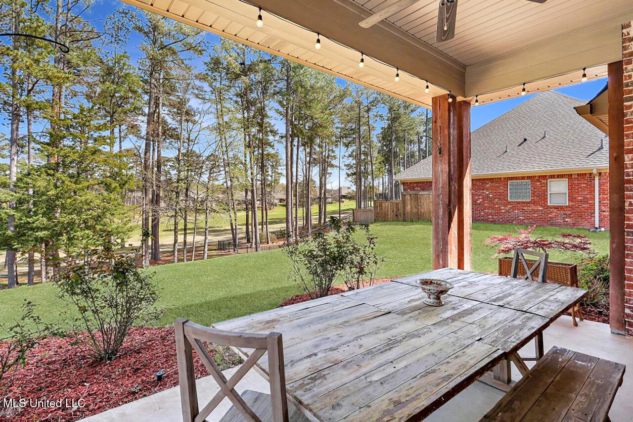 112 Willow Crest Circle, Brandon, Mississippi image 35
