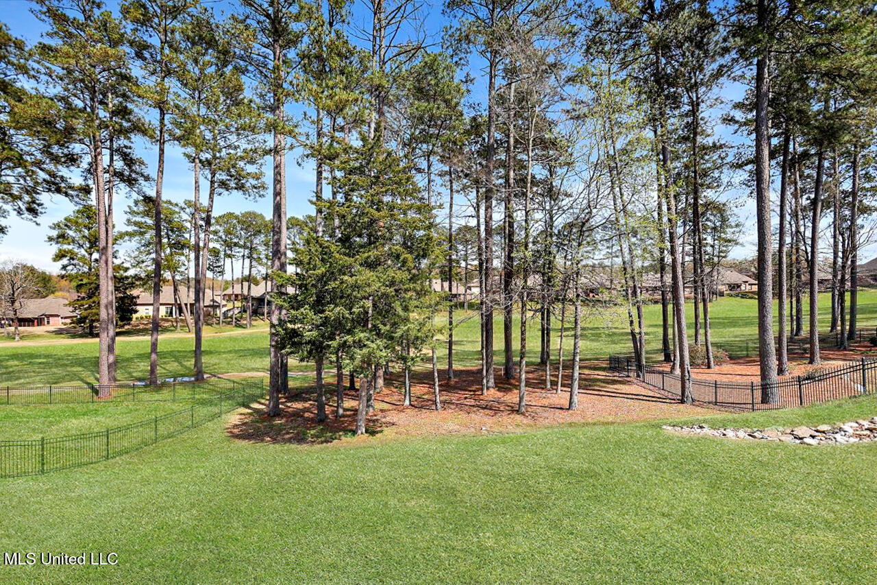 112 Willow Crest Circle, Brandon, Mississippi image 37