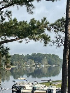 904 E Lakeshore Drive, Carriere, Mississippi image 20