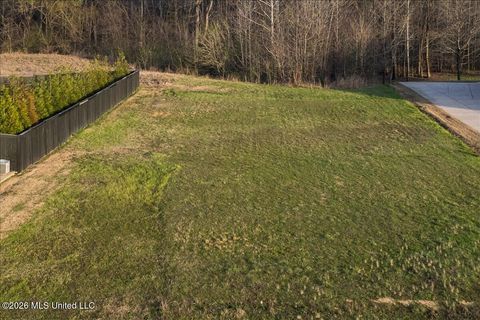 Vacant Land For Sale - 179 Hayes Cove<br/> Olive Branch, MS 38654