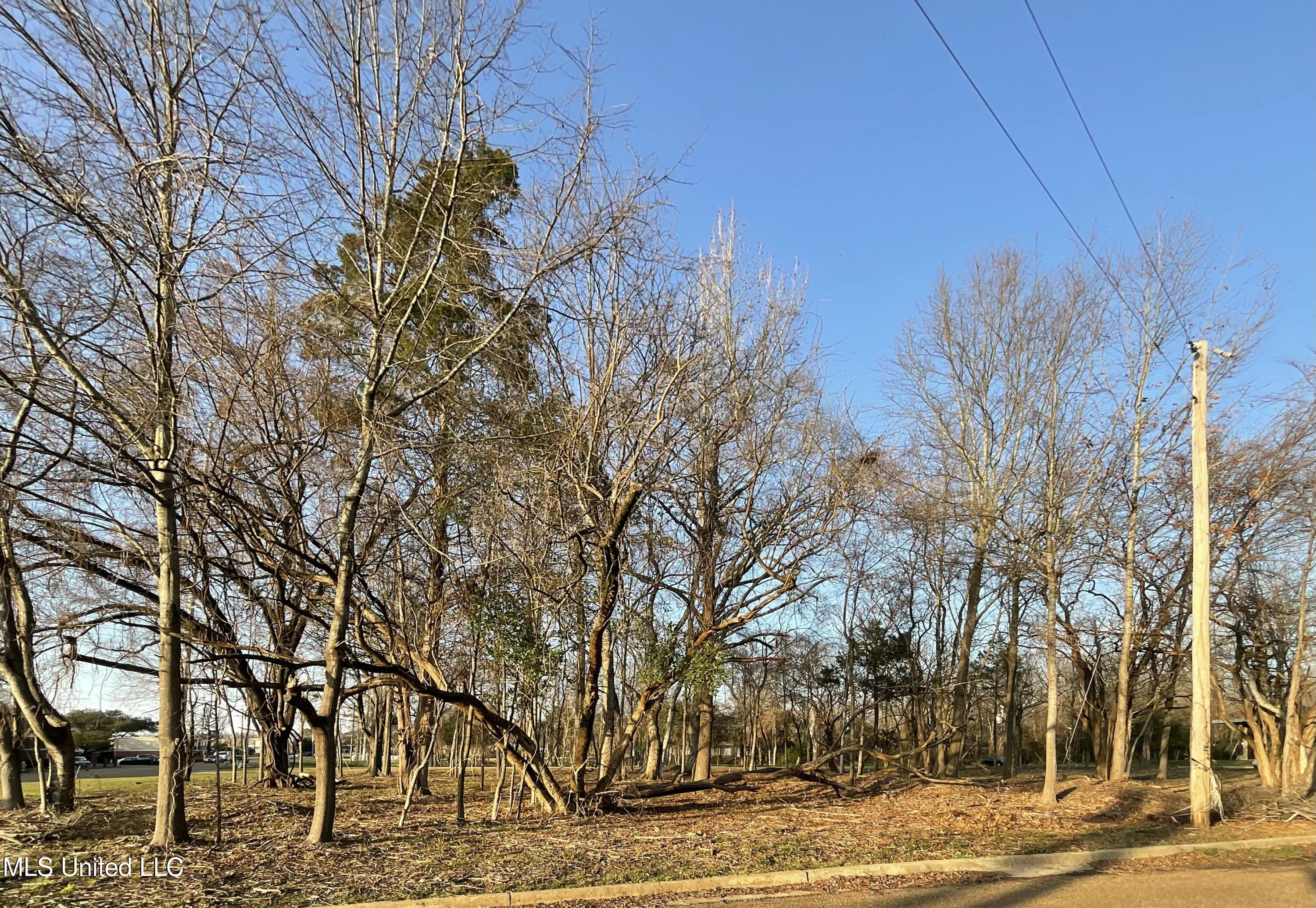 Old Canton Road Road, Jackson, Mississippi image 1